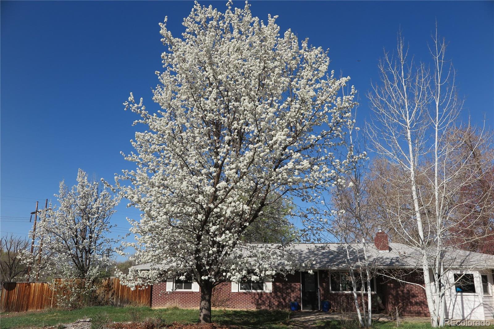 MLS Image #29 for 305  cottonwood court,longmont, Colorado