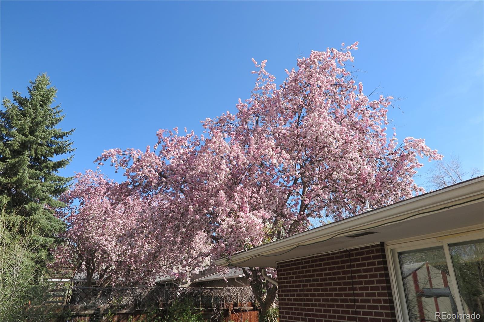 MLS Image #33 for 305  cottonwood court,longmont, Colorado