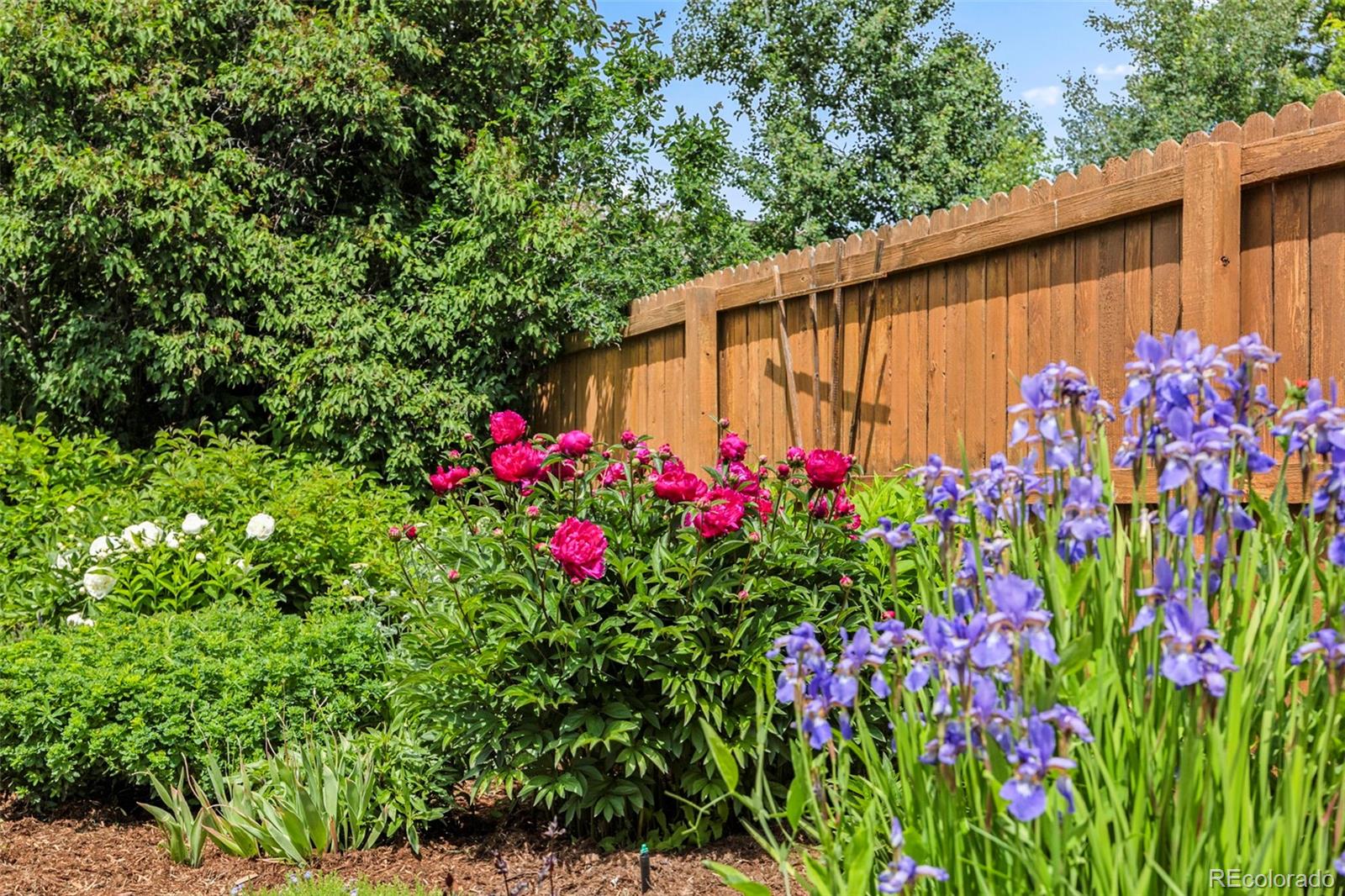 MLS Image #35 for 6839 s niagara court,centennial, Colorado