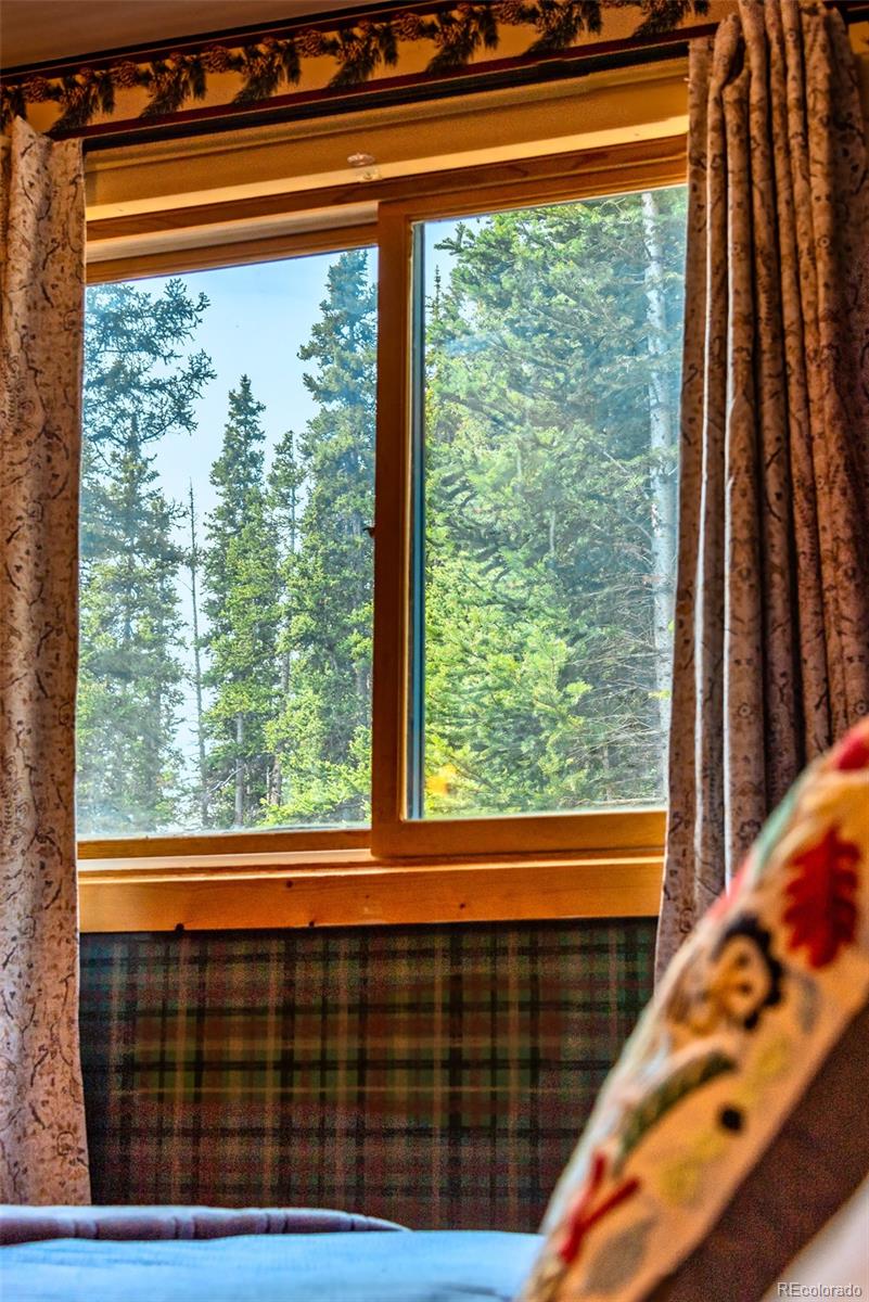 MLS Image #16 for 303  ridge road,alma, Colorado