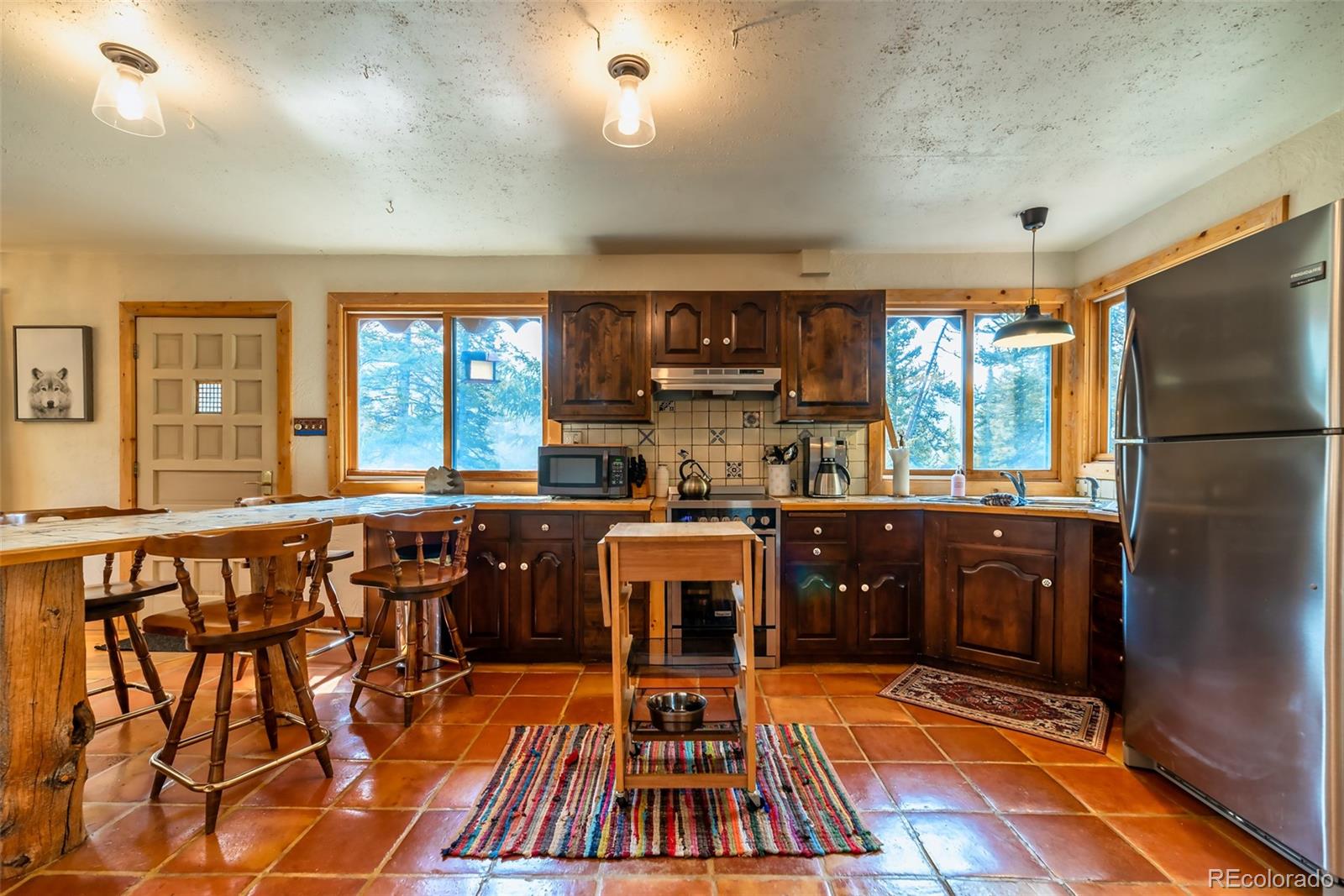 MLS Image #2 for 303  ridge road,alma, Colorado
