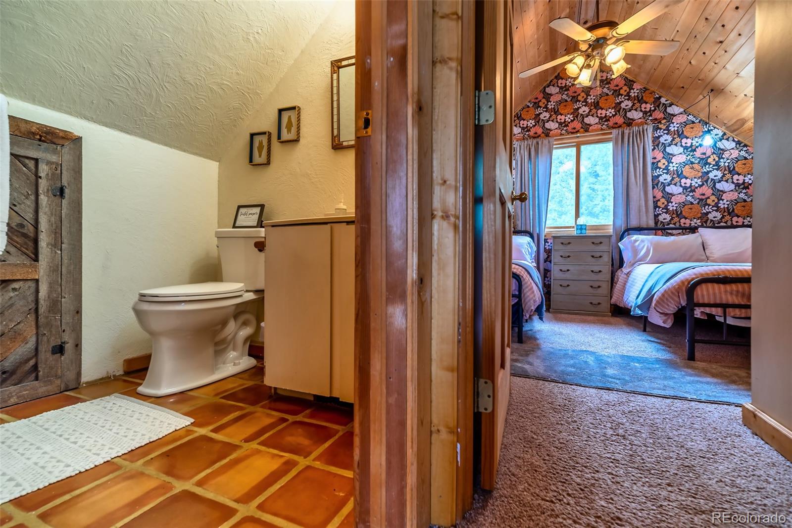 MLS Image #22 for 303  ridge road,alma, Colorado