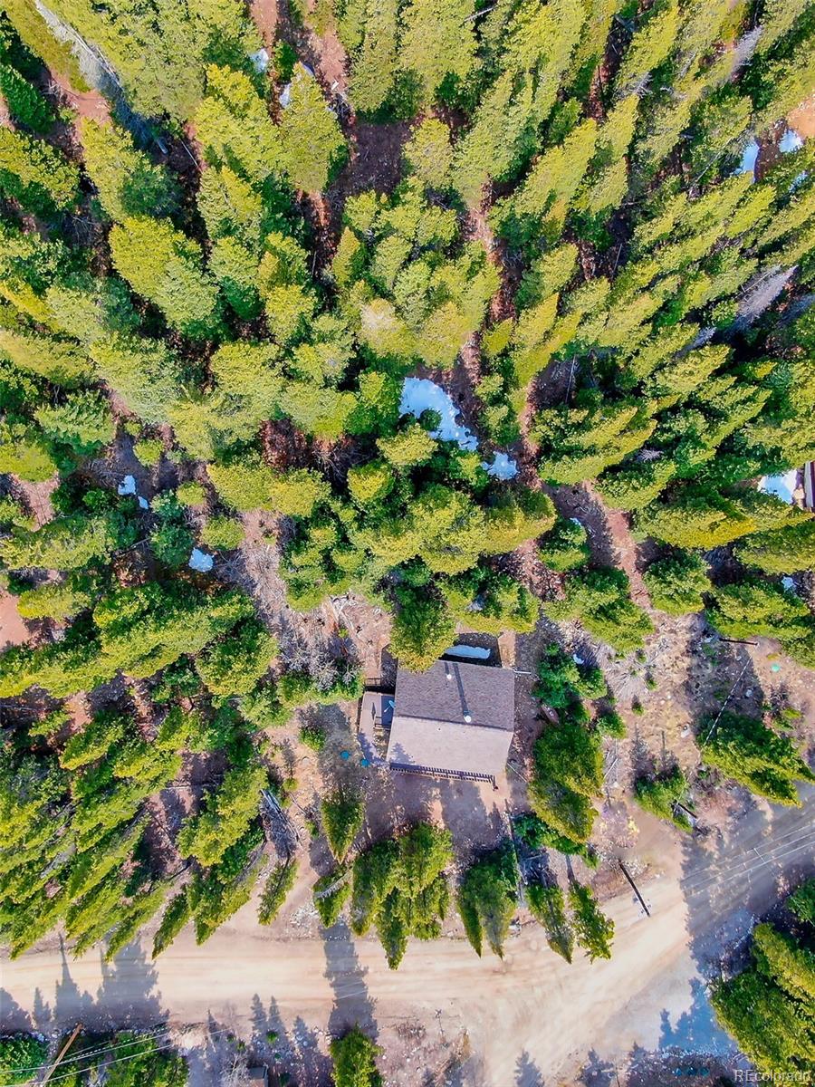 MLS Image #29 for 303  ridge road,alma, Colorado