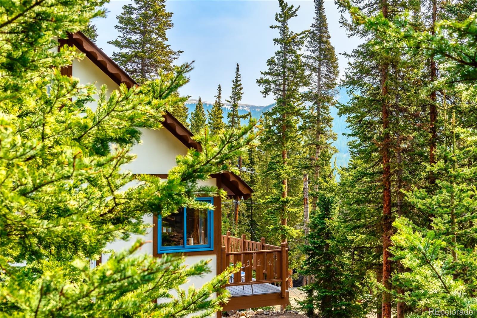 MLS Image #30 for 303  ridge road,alma, Colorado