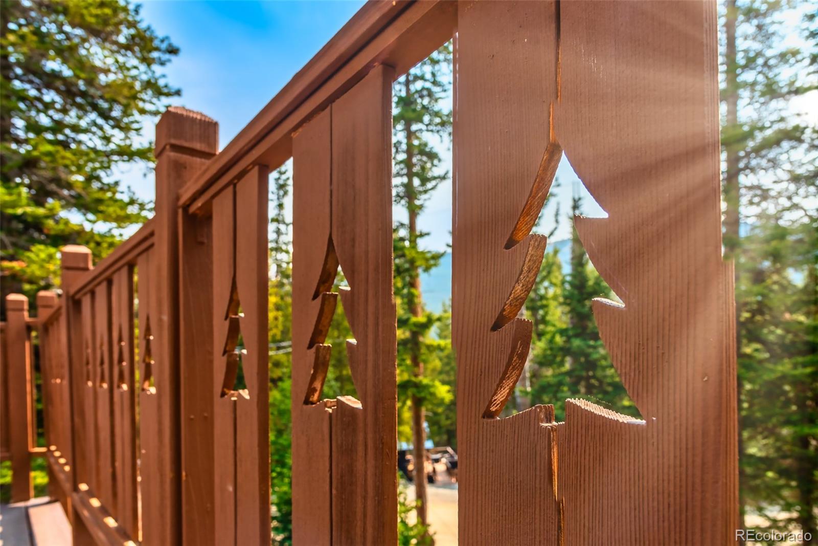 MLS Image #31 for 303  ridge road,alma, Colorado