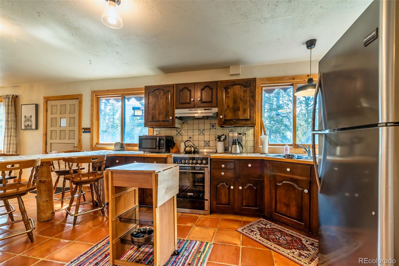 MLS Image #4 for 303  ridge road,alma, Colorado