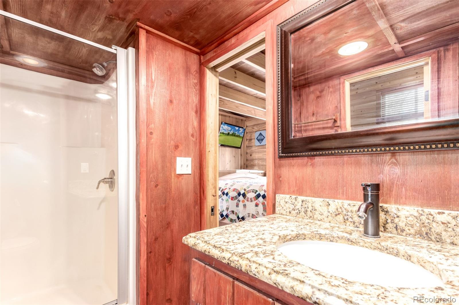 MLS Image #17 for 85  revett drive,breckenridge, Colorado