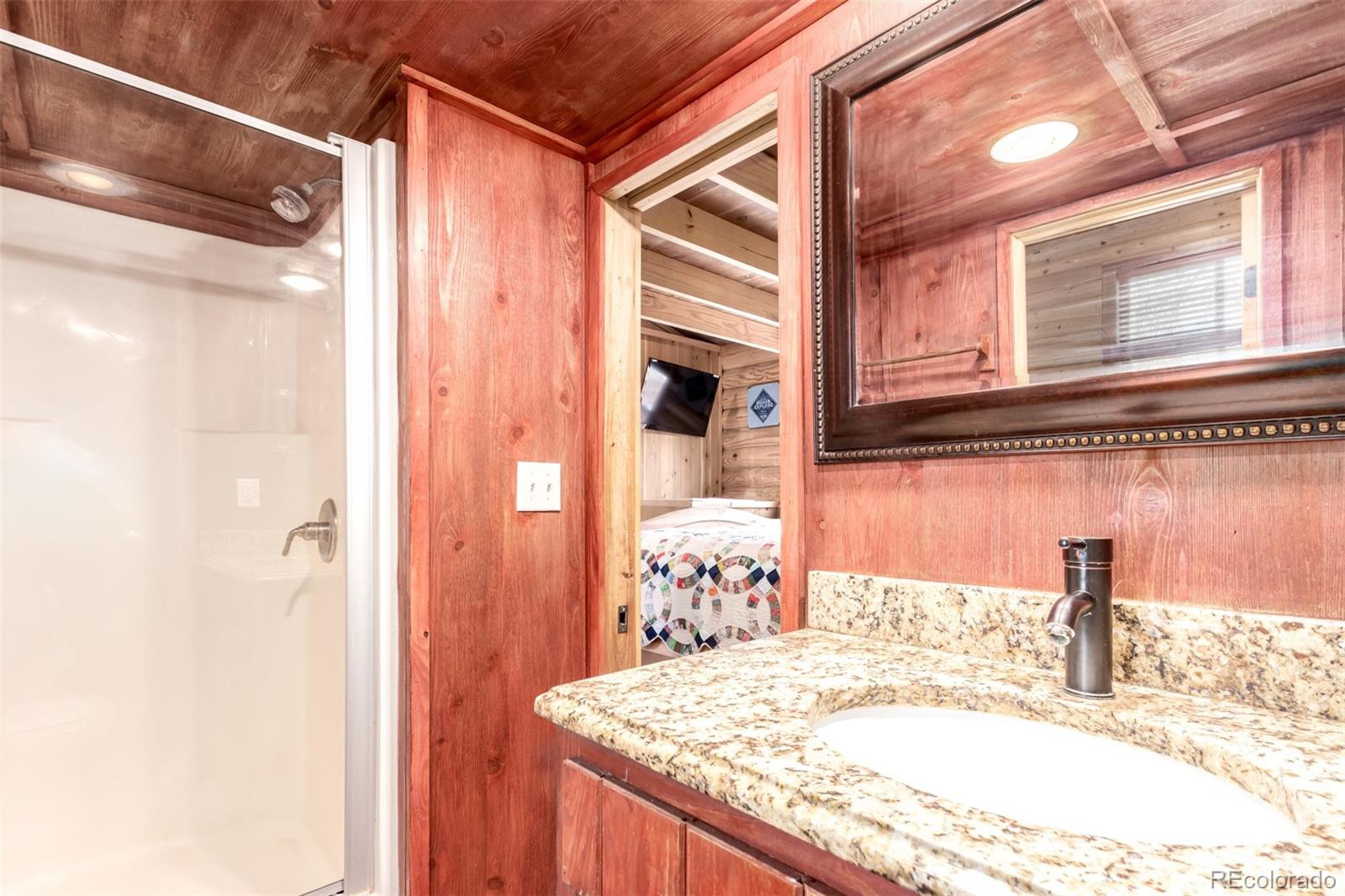 MLS Image #18 for 85  revett drive,breckenridge, Colorado