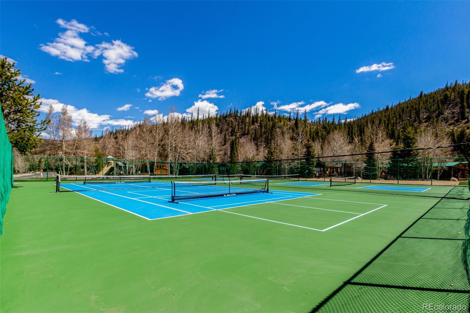 MLS Image #32 for 85  revett drive,breckenridge, Colorado