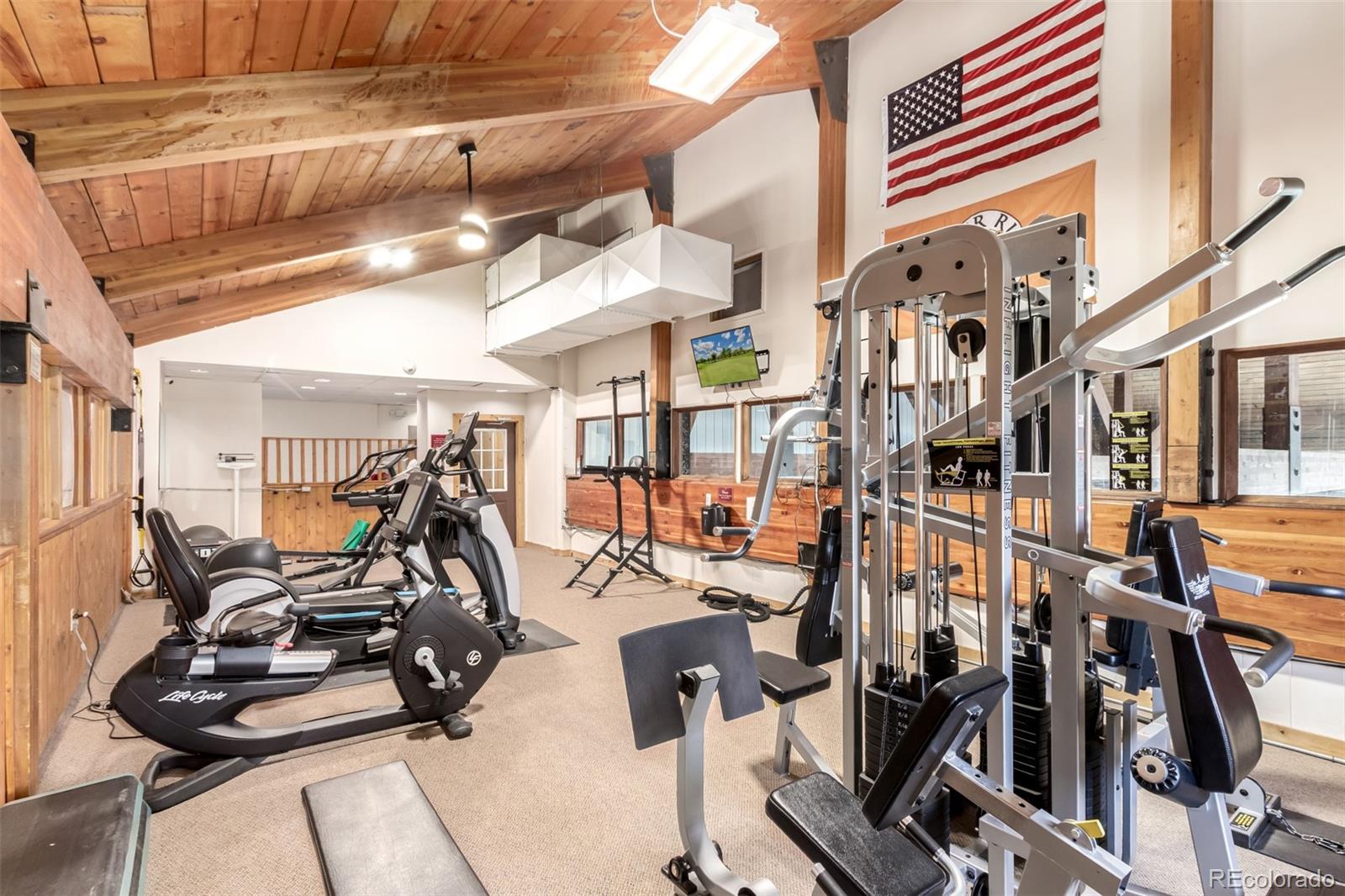 MLS Image #40 for 85  revett drive,breckenridge, Colorado