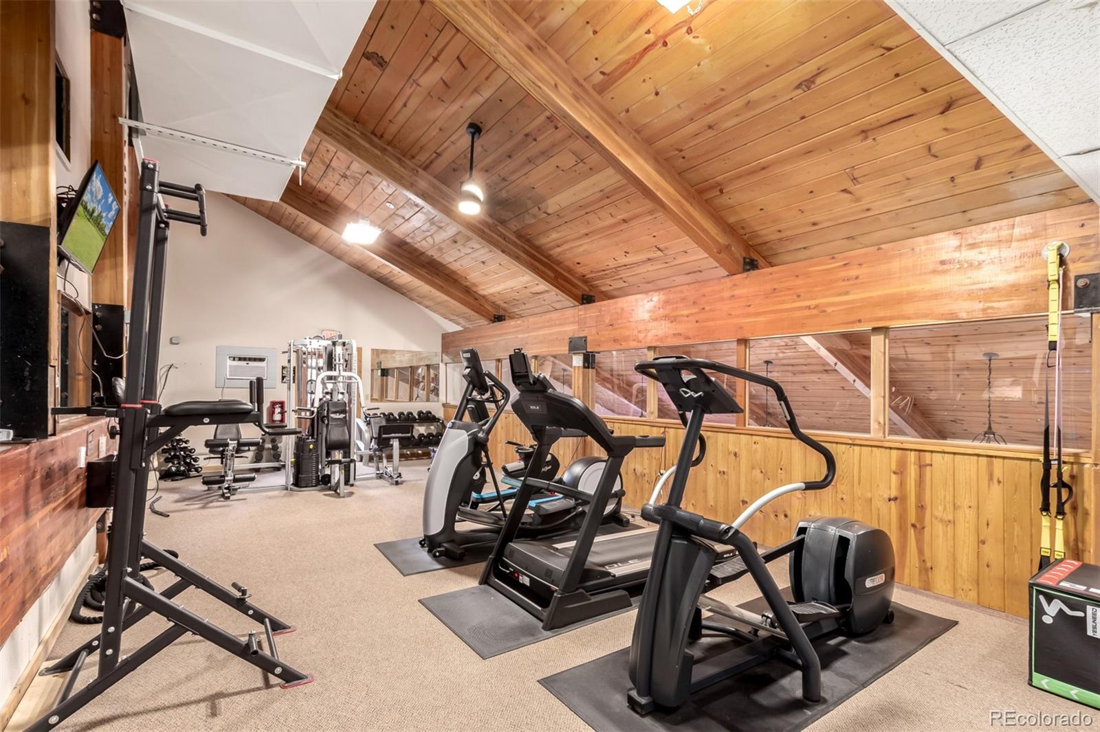 MLS Image #41 for 85  revett drive,breckenridge, Colorado