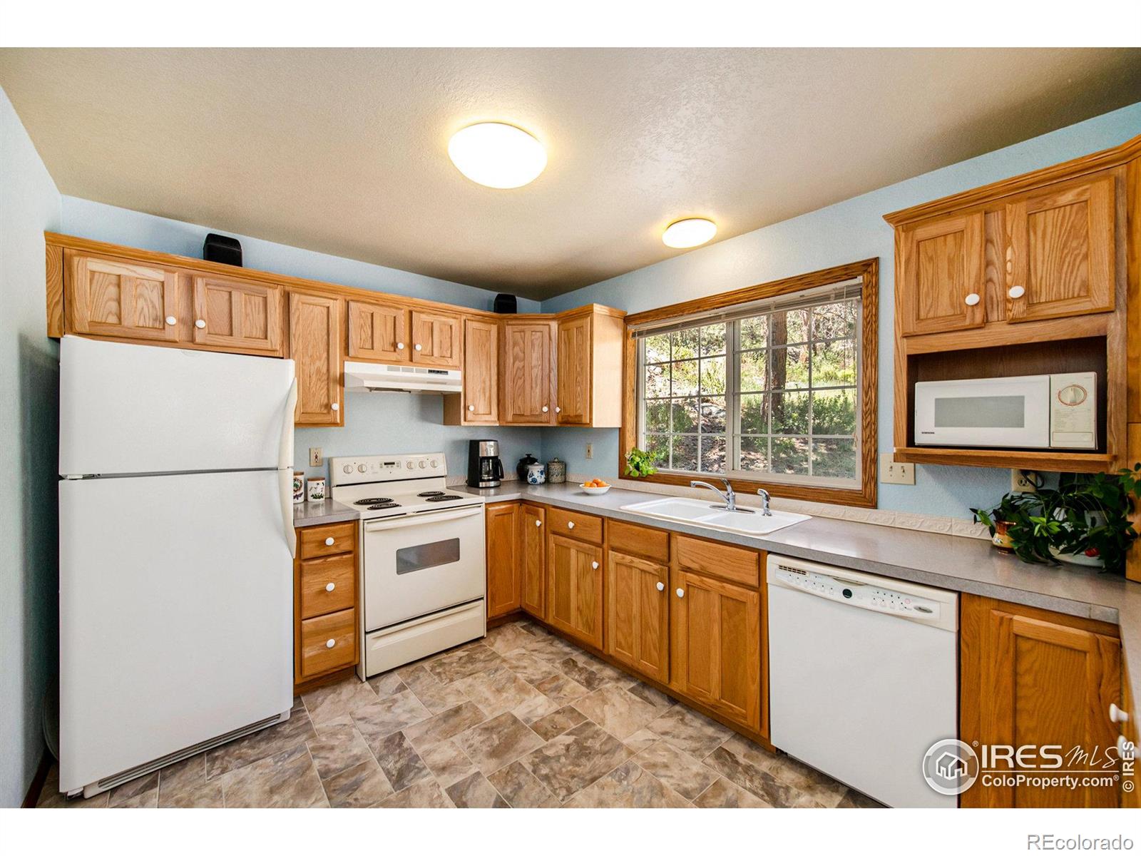MLS Image #10 for 60  horn peak drive,livermore, Colorado