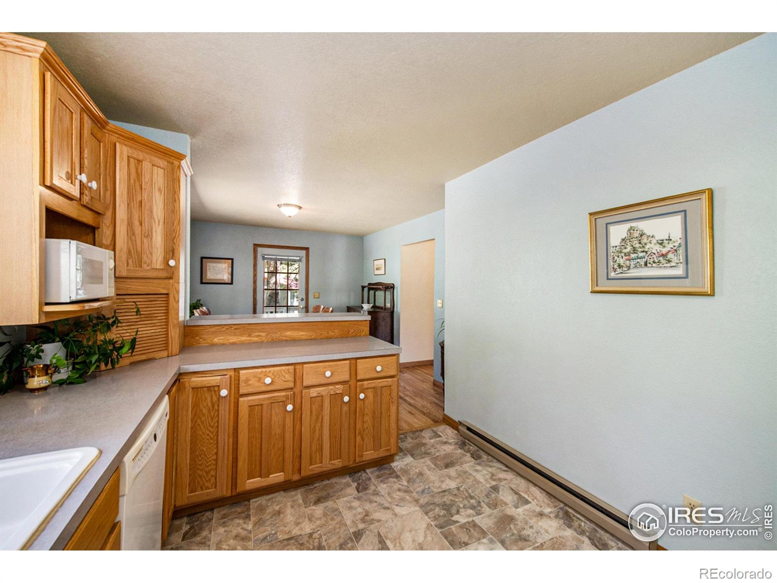 MLS Image #16 for 60  horn peak drive,livermore, Colorado