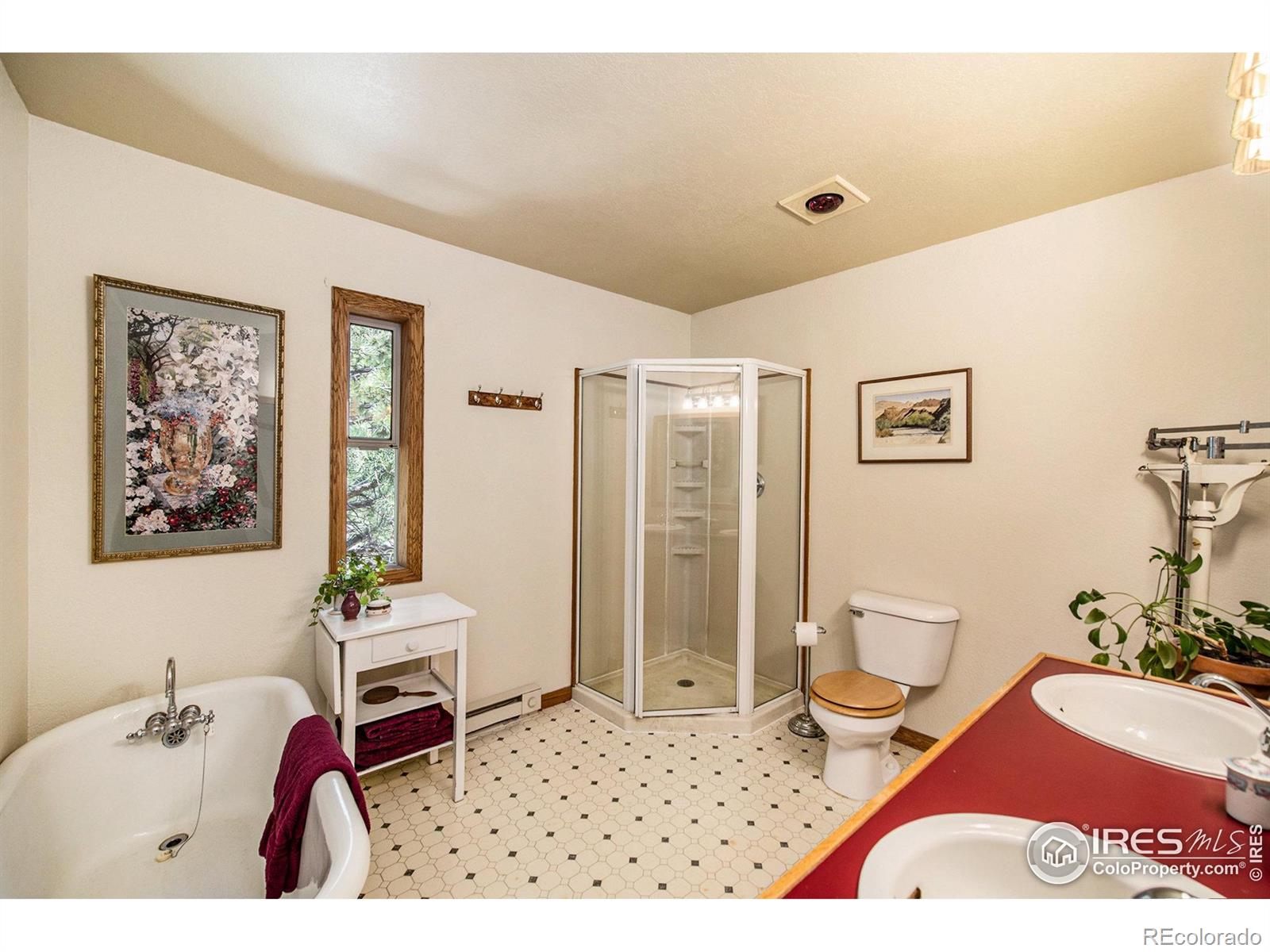 MLS Image #22 for 60  horn peak drive,livermore, Colorado