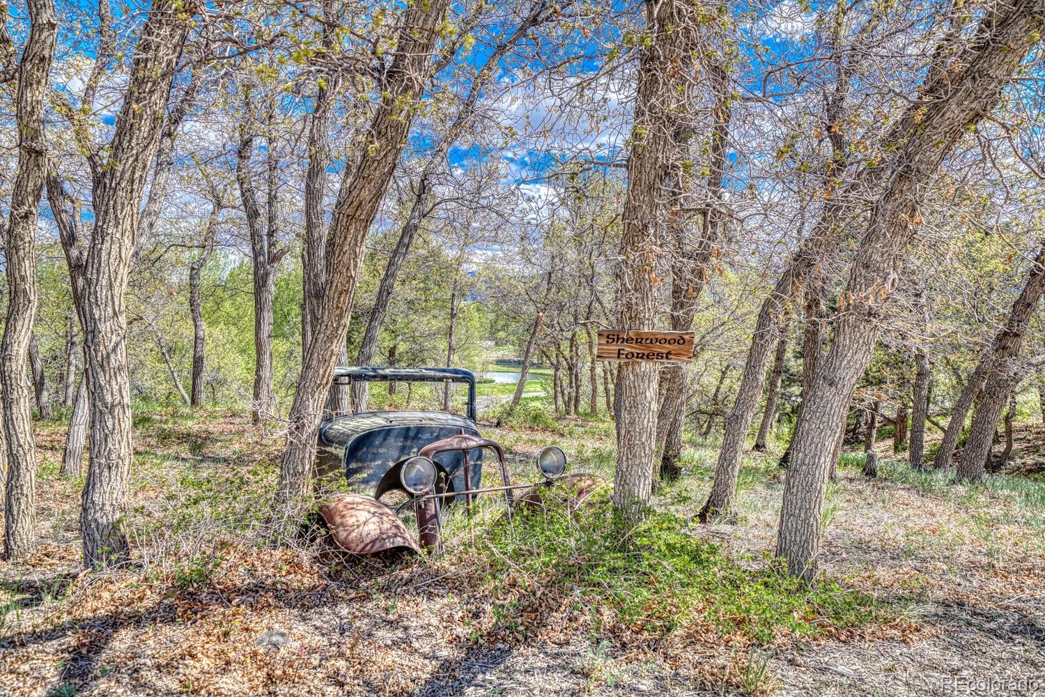MLS Image #44 for 8126  buck run,salida, Colorado