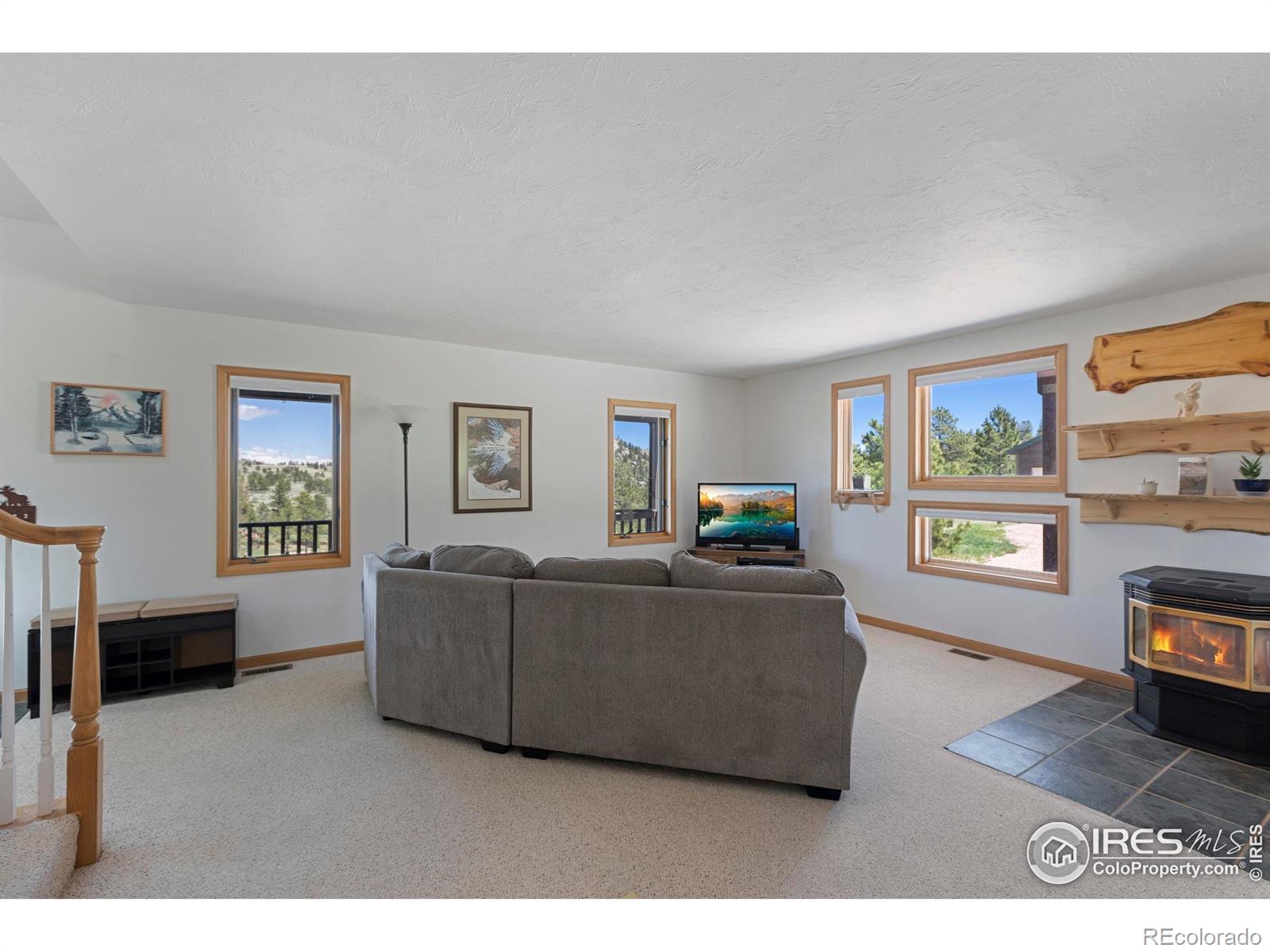 MLS Image #12 for 636  cucharas mountain drive,livermore, Colorado