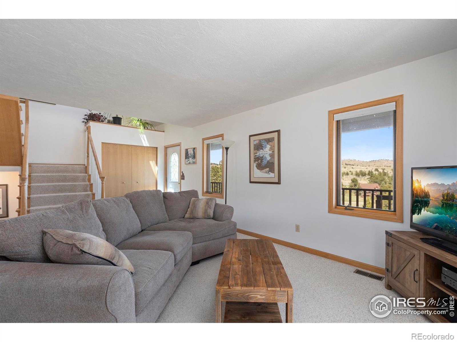 MLS Image #13 for 636  cucharas mountain drive,livermore, Colorado