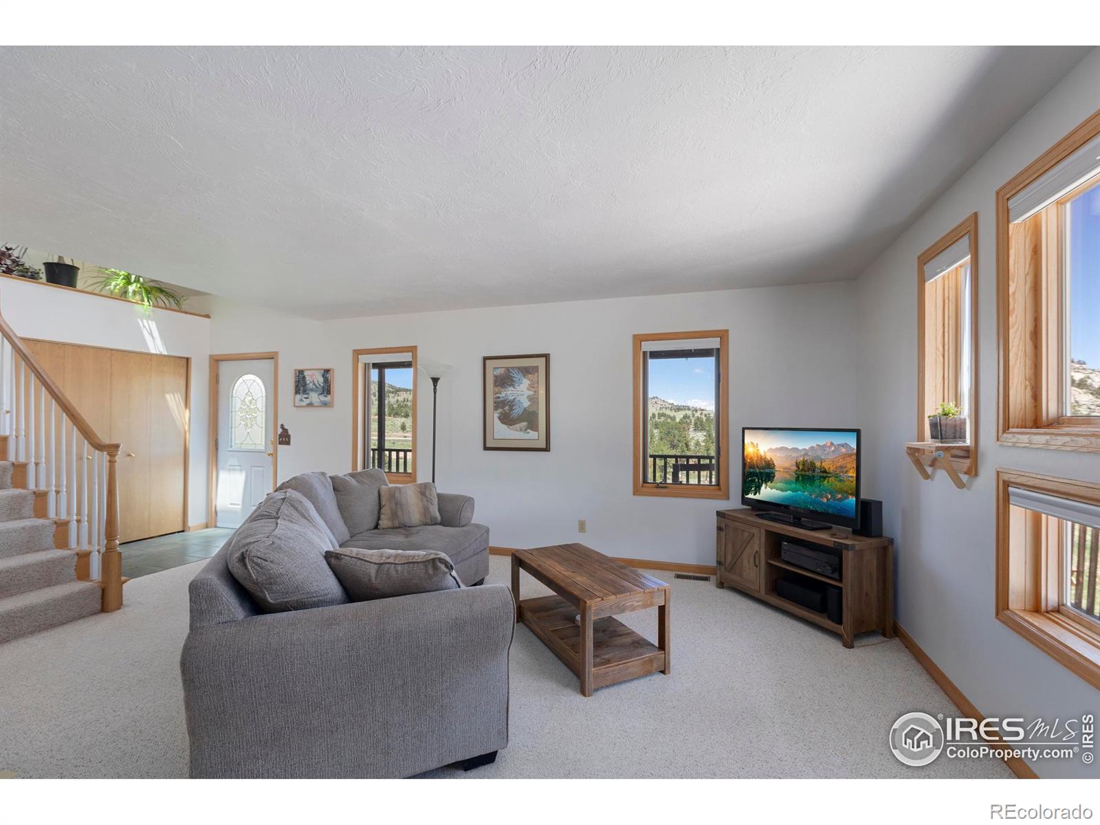 MLS Image #14 for 636  cucharas mountain drive,livermore, Colorado