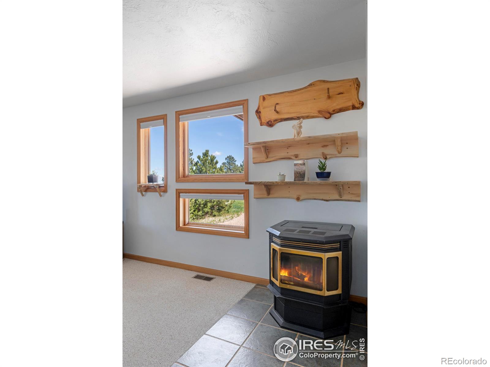 MLS Image #15 for 636  cucharas mountain drive,livermore, Colorado
