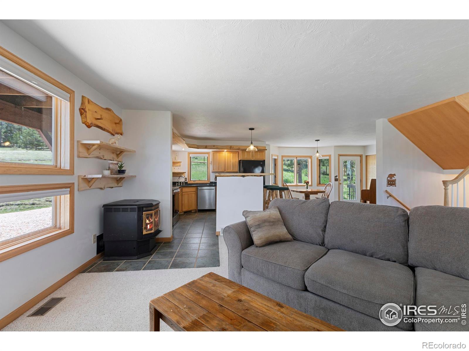 MLS Image #16 for 636  cucharas mountain drive,livermore, Colorado