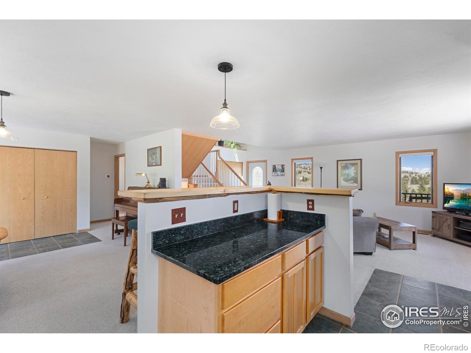 MLS Image #19 for 636  cucharas mountain drive,livermore, Colorado