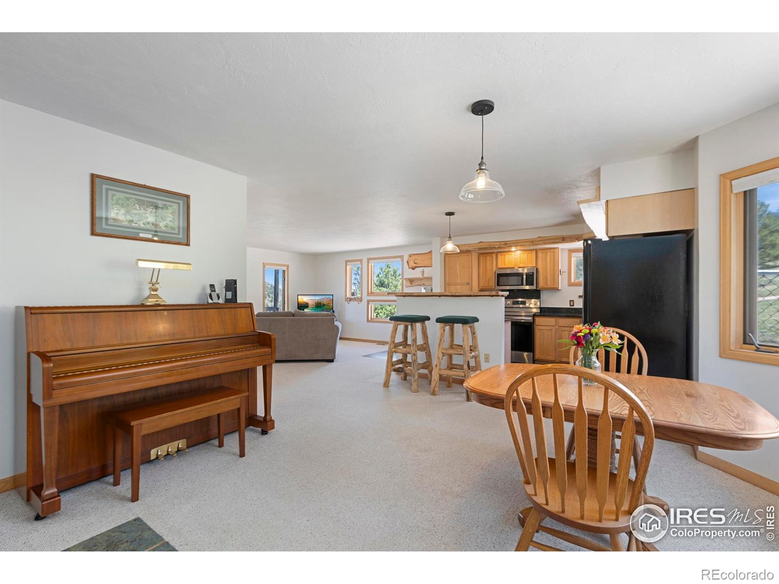 MLS Image #21 for 636  cucharas mountain drive,livermore, Colorado