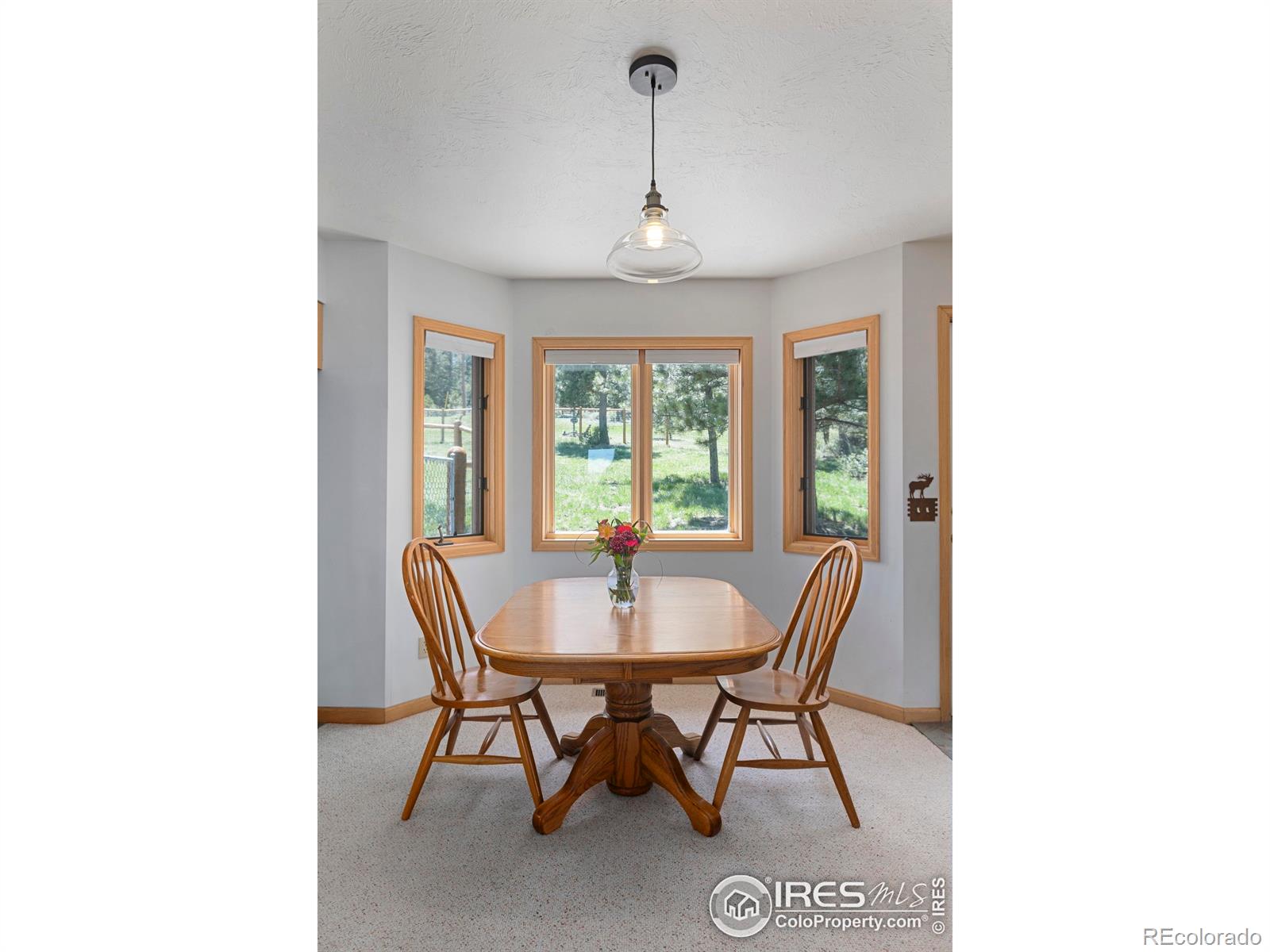 MLS Image #22 for 636  cucharas mountain drive,livermore, Colorado