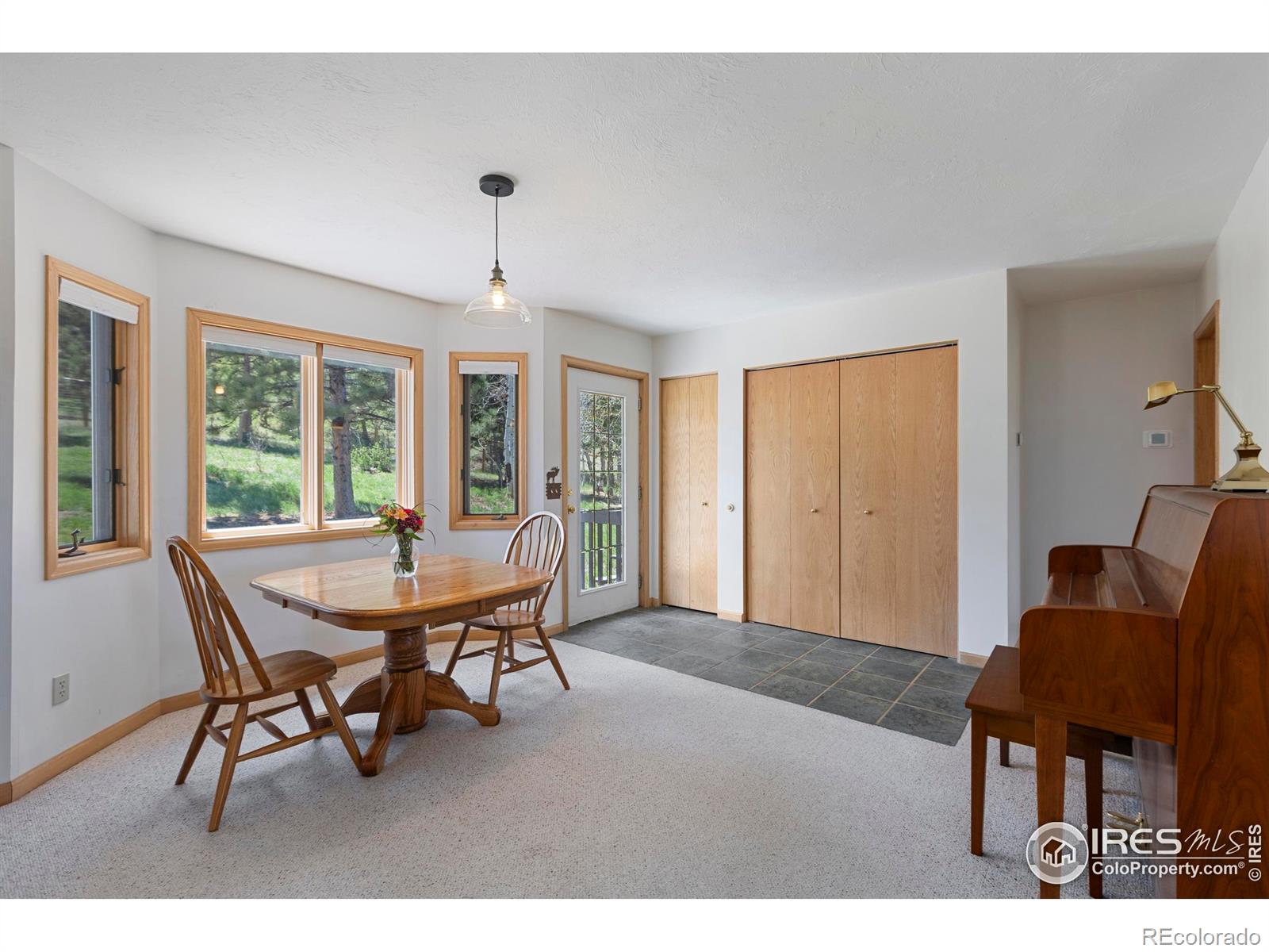 MLS Image #23 for 636  cucharas mountain drive,livermore, Colorado