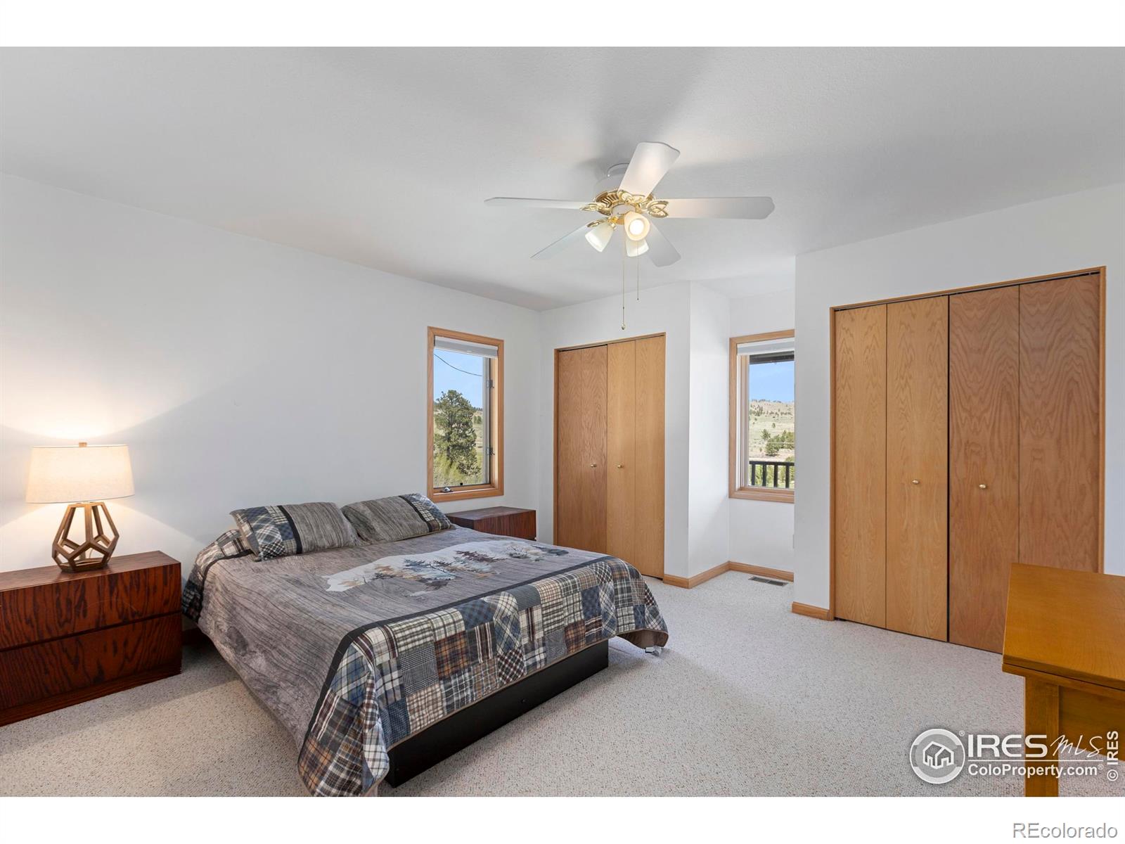 MLS Image #24 for 636  cucharas mountain drive,livermore, Colorado