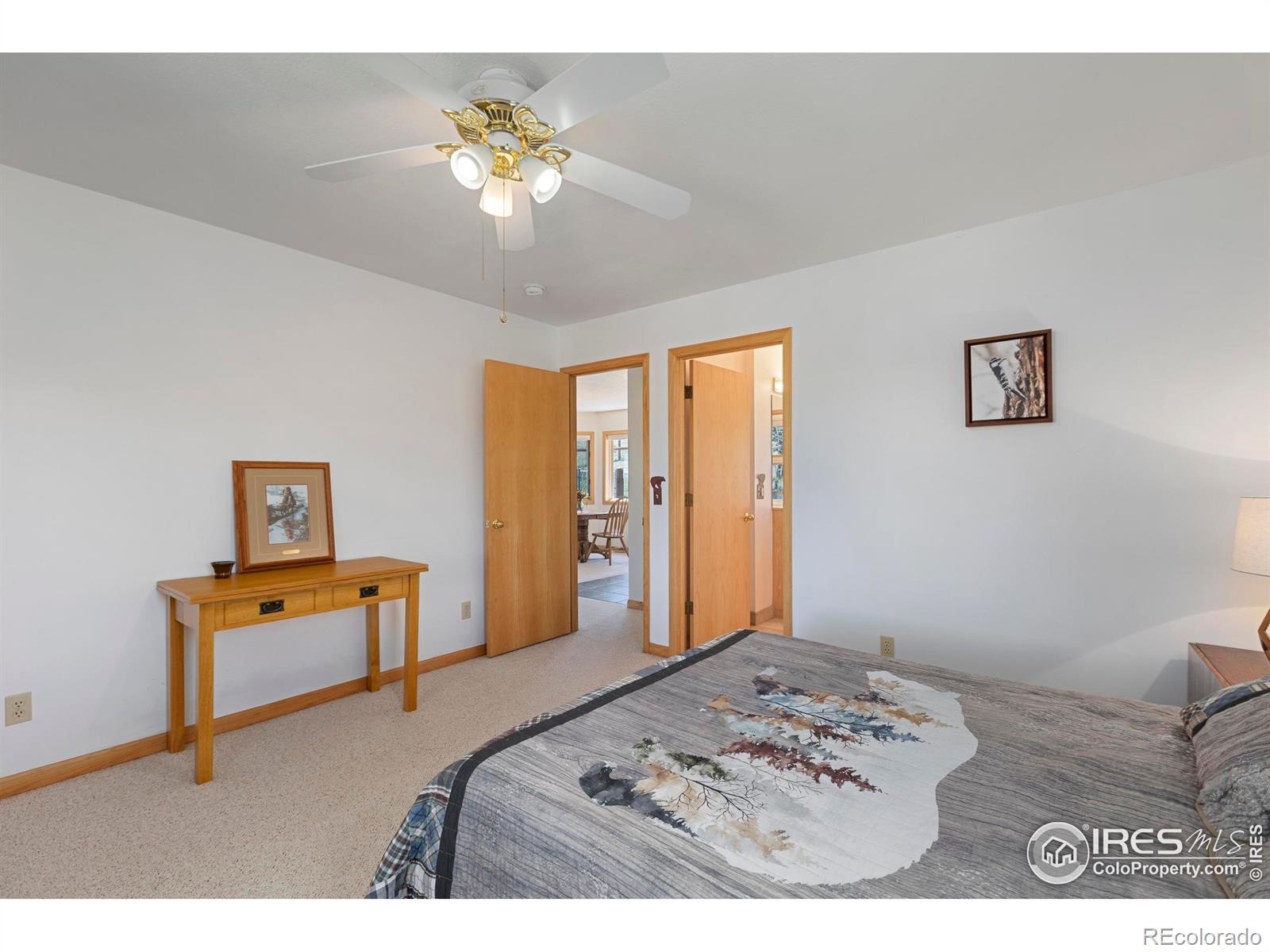MLS Image #25 for 636  cucharas mountain drive,livermore, Colorado