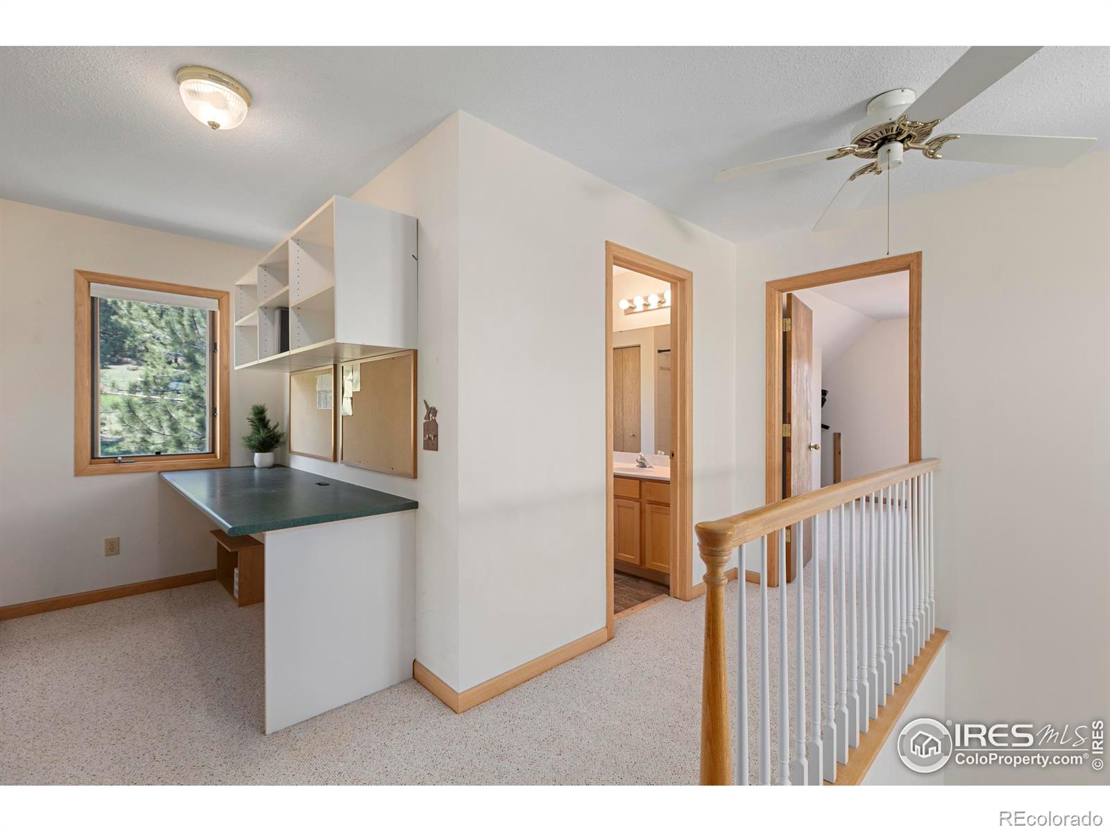 MLS Image #30 for 636  cucharas mountain drive,livermore, Colorado