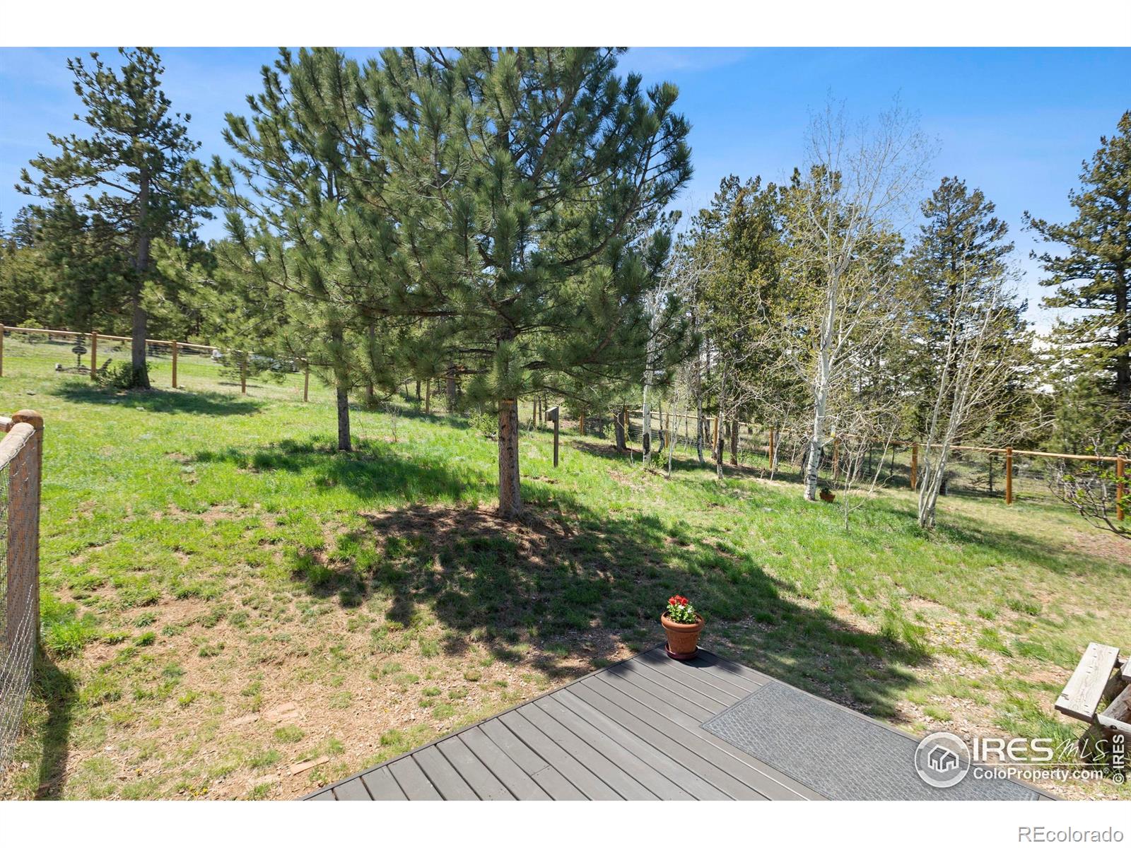MLS Image #6 for 636  cucharas mountain drive,livermore, Colorado