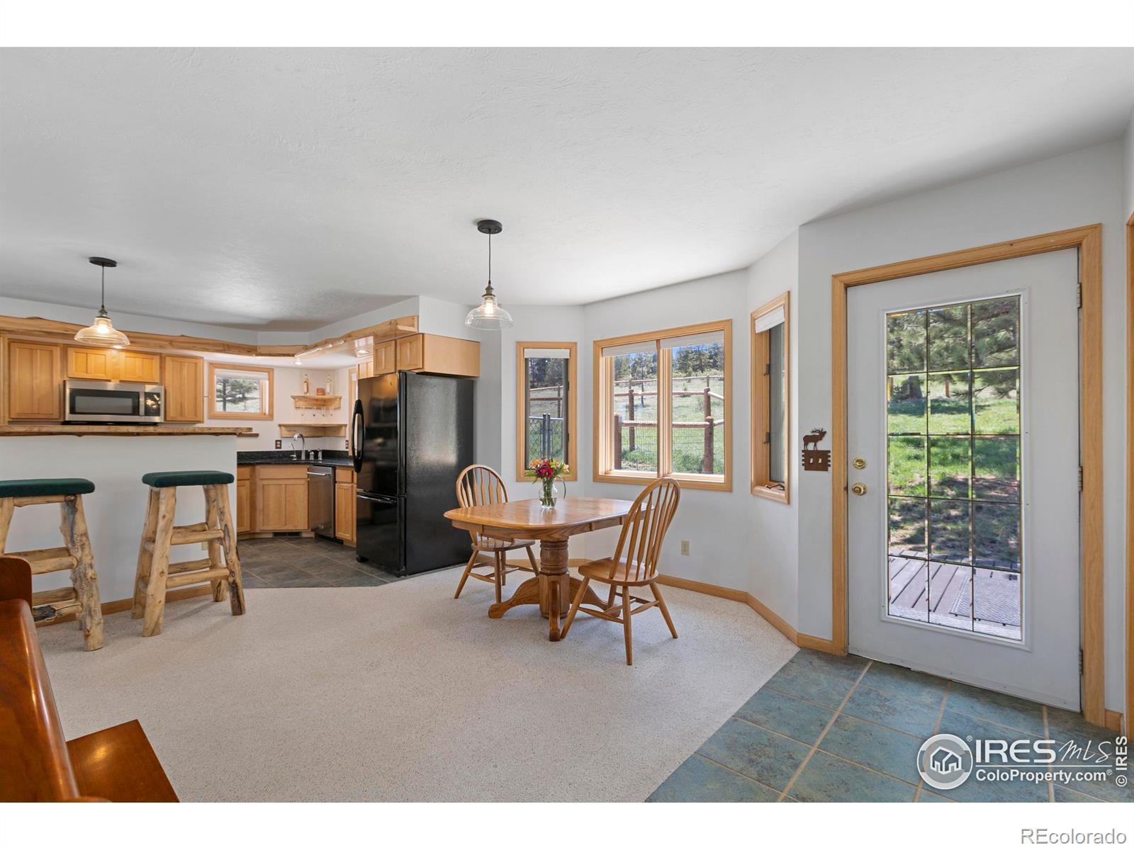 MLS Image #8 for 636  cucharas mountain drive,livermore, Colorado