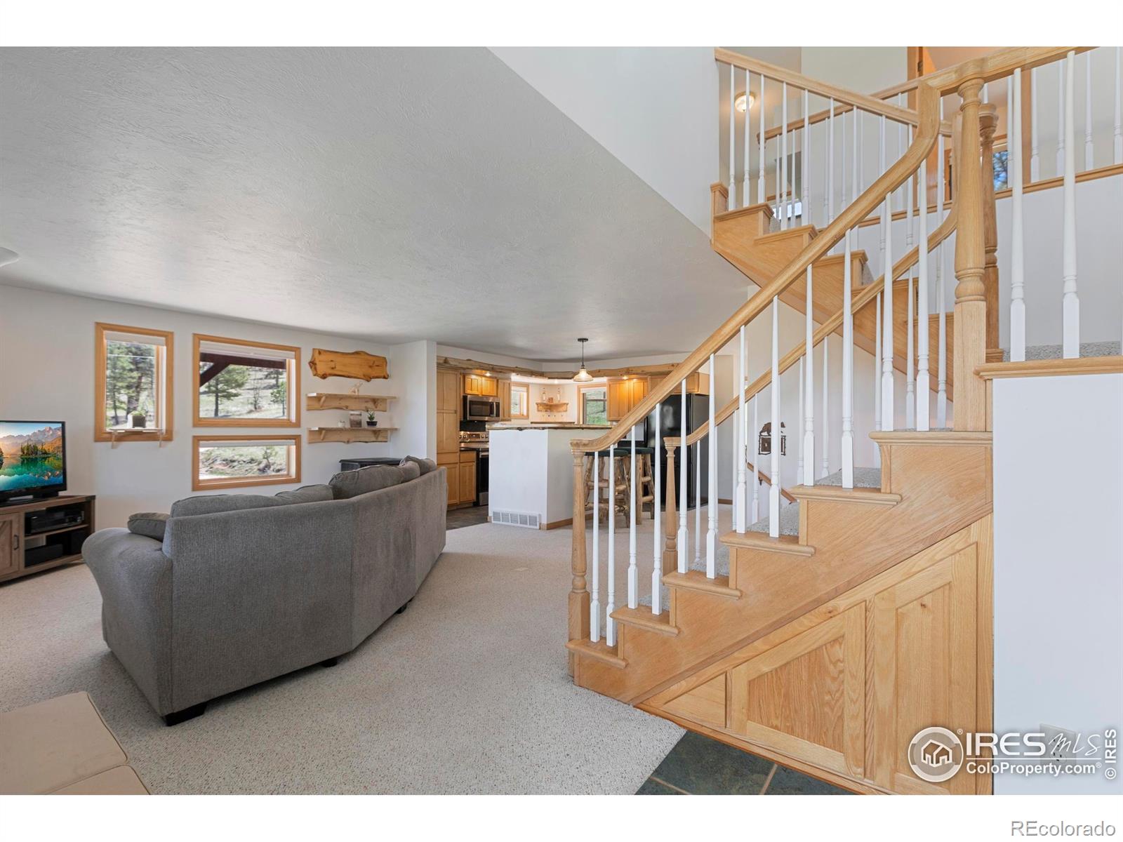 MLS Image #9 for 636  cucharas mountain drive,livermore, Colorado