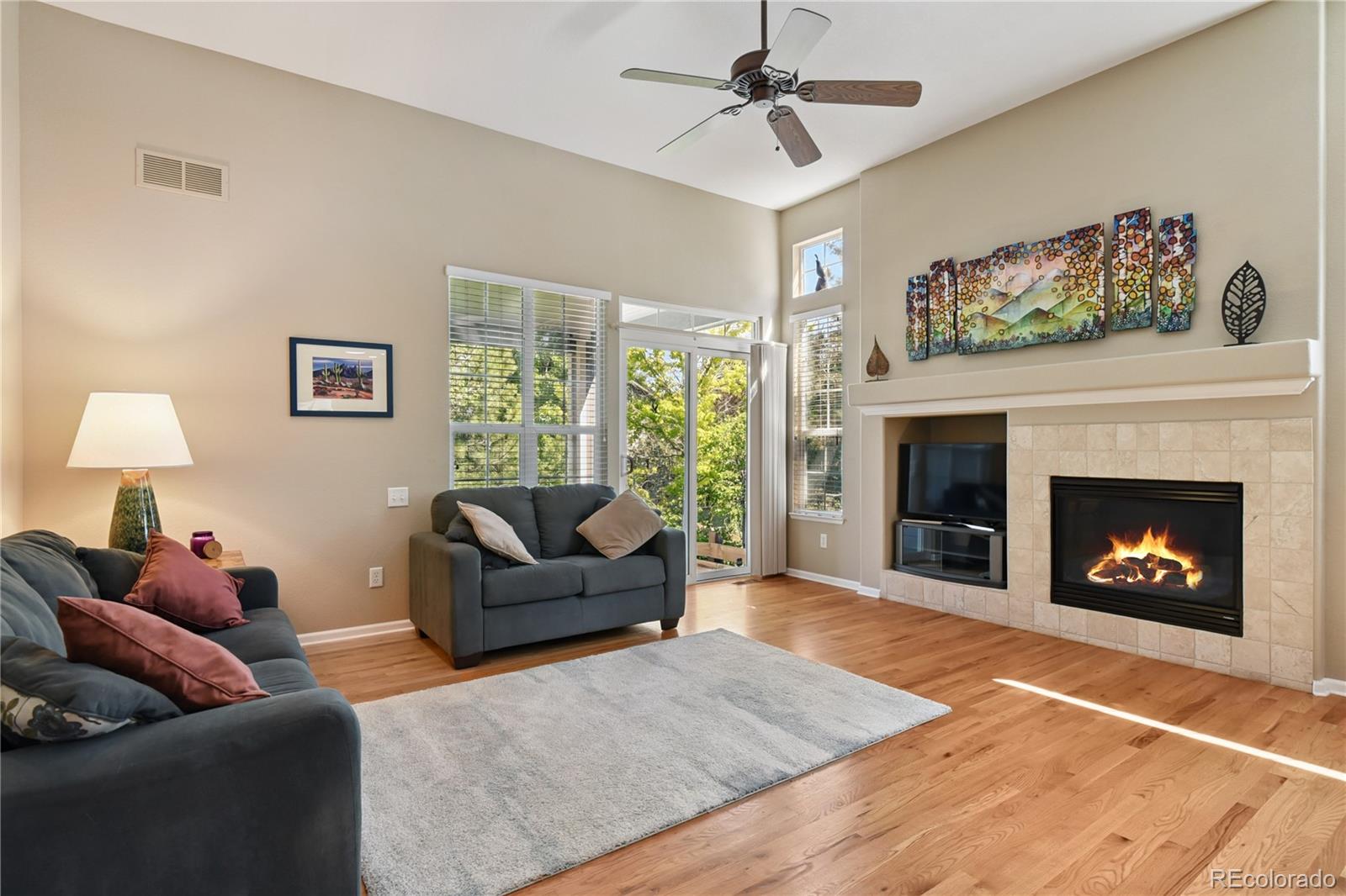 MLS Image #16 for 23285  chapel hill lane,parker, Colorado