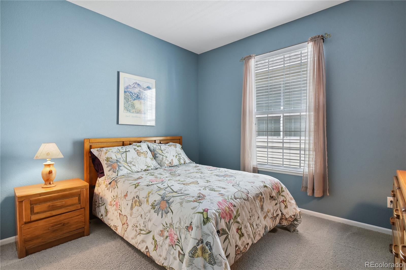 MLS Image #25 for 23285  chapel hill lane,parker, Colorado