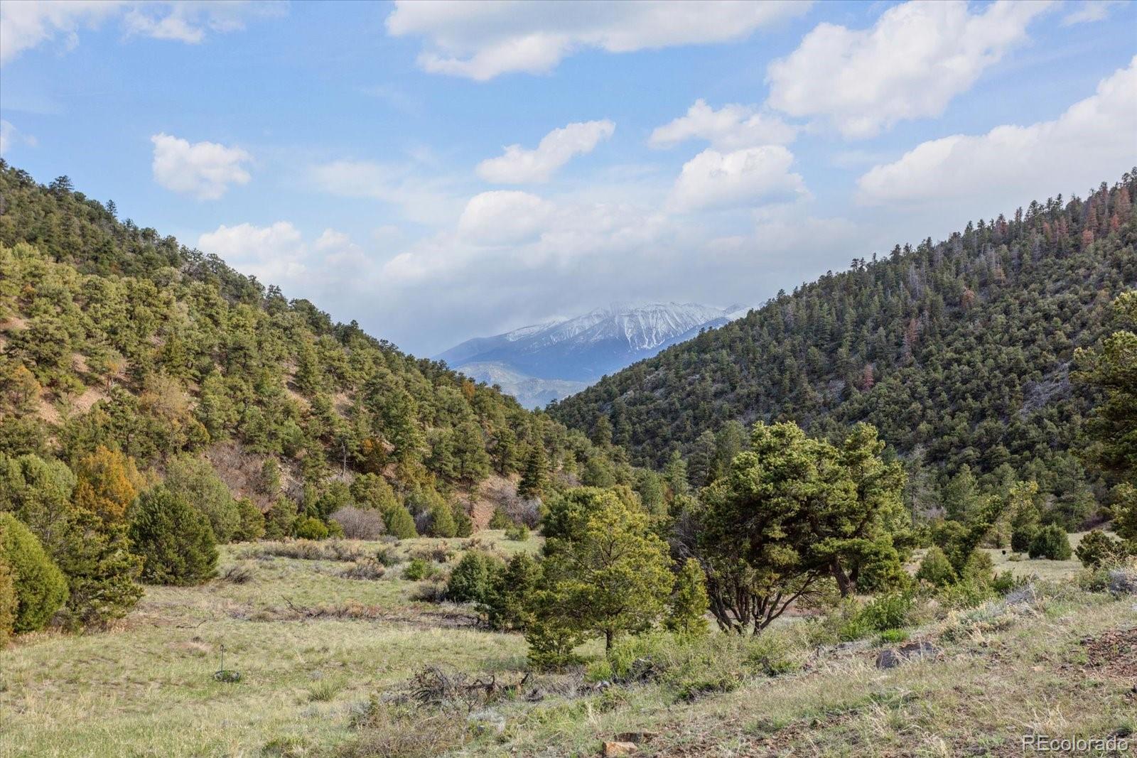 MLS Image #45 for 795  county road 55 ,salida, Colorado