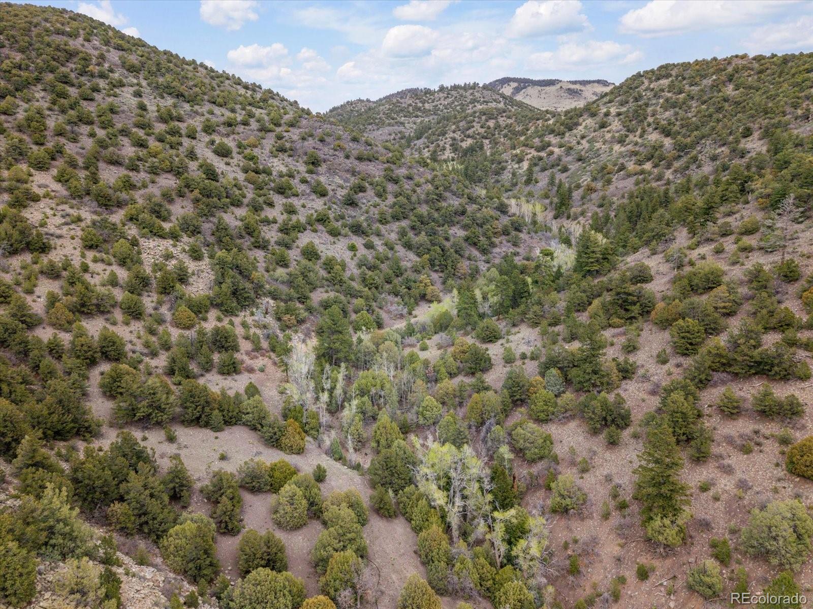 MLS Image #46 for 795  county road 55 ,salida, Colorado