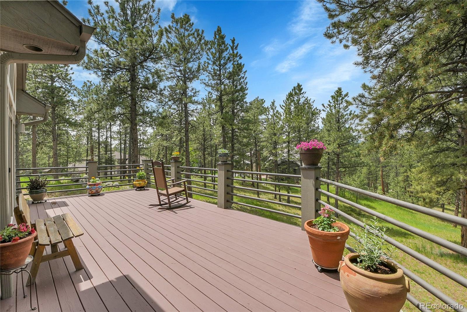 MLS Image #10 for 29433  firethorne court,evergreen, Colorado