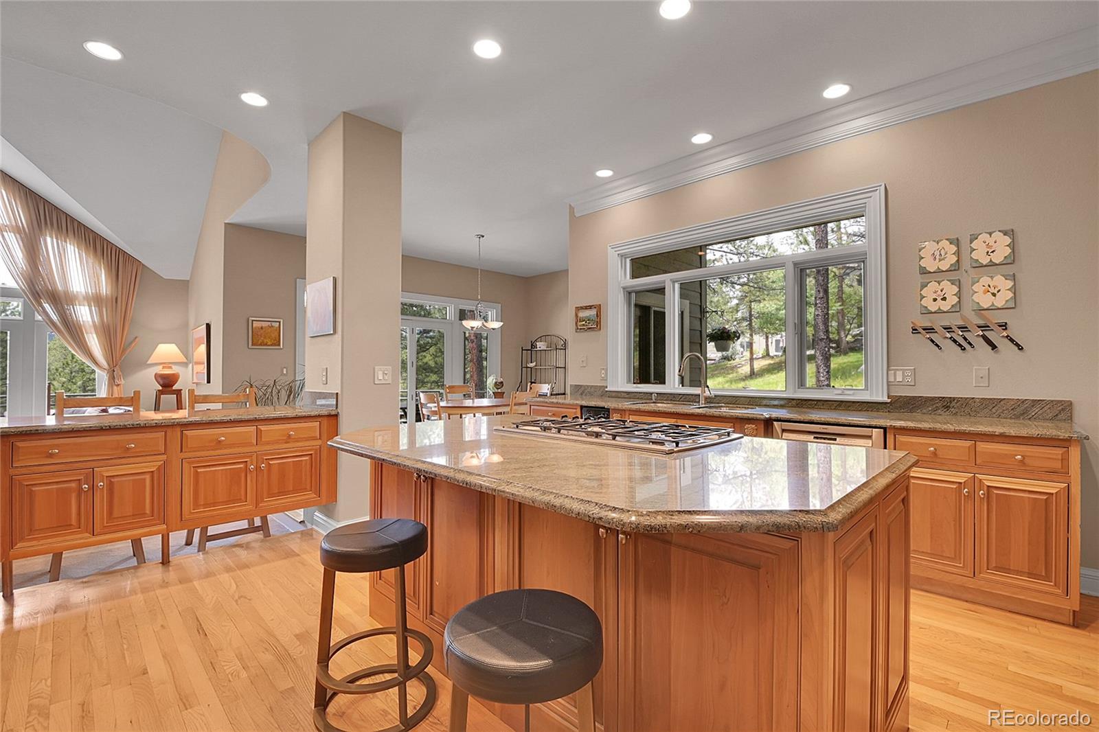 MLS Image #16 for 29433  firethorne court,evergreen, Colorado
