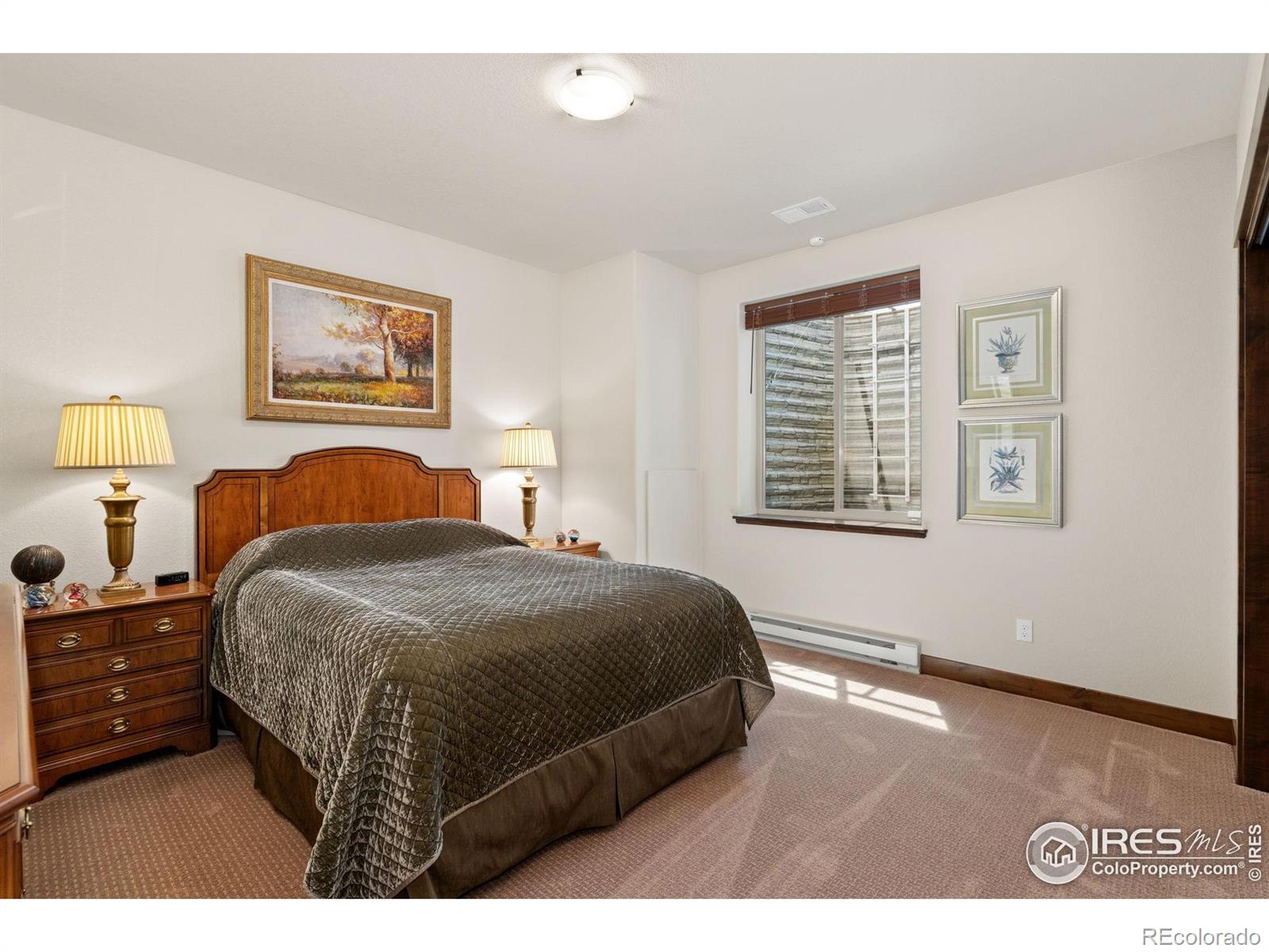 MLS Image #19 for 3534  saguaro drive,loveland, Colorado