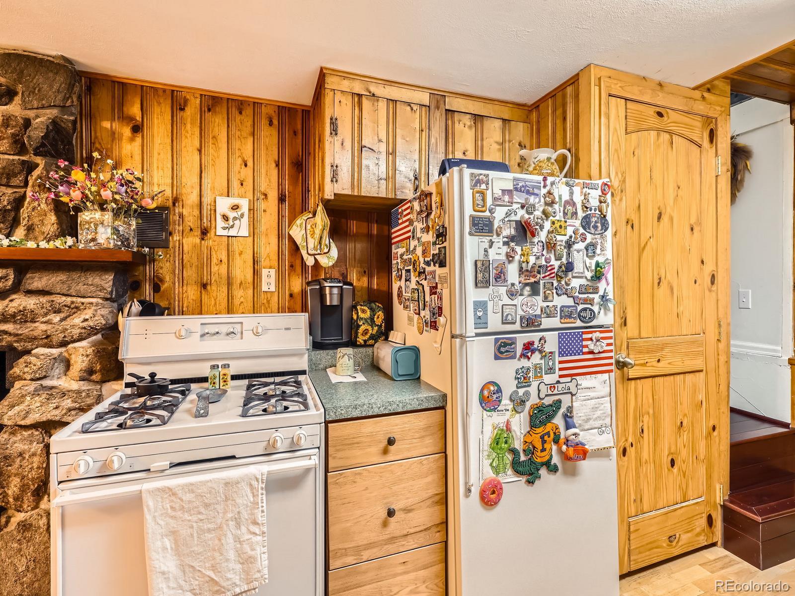 MLS Image #10 for 6837 s brook forest road,evergreen, Colorado