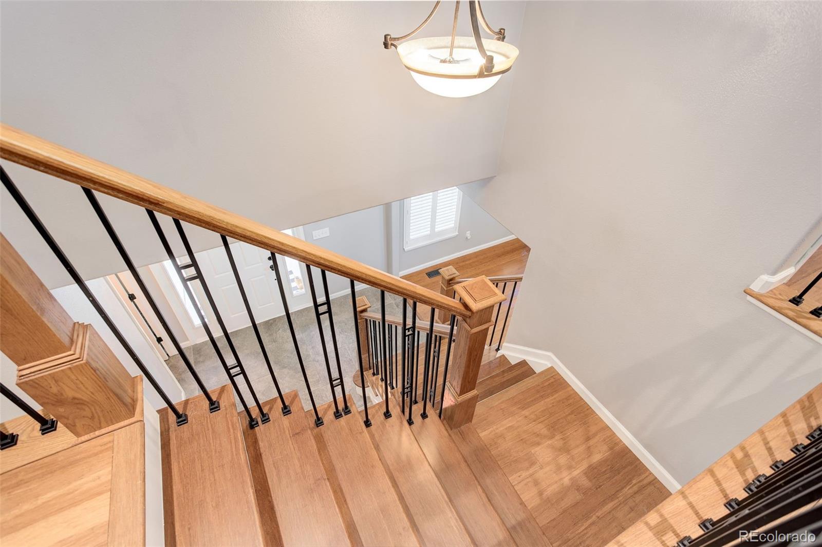 MLS Image #20 for 9954  heywood street,highlands ranch, Colorado