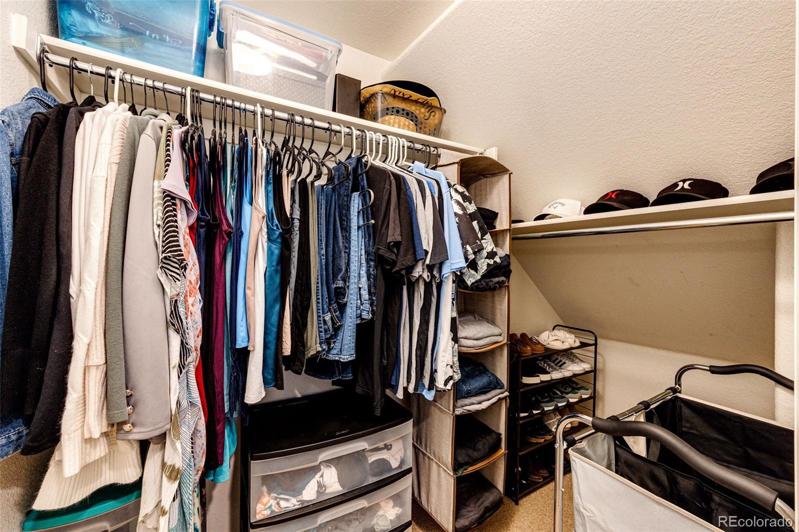 MLS Image #16 for 452  black feather loop,castle rock, Colorado