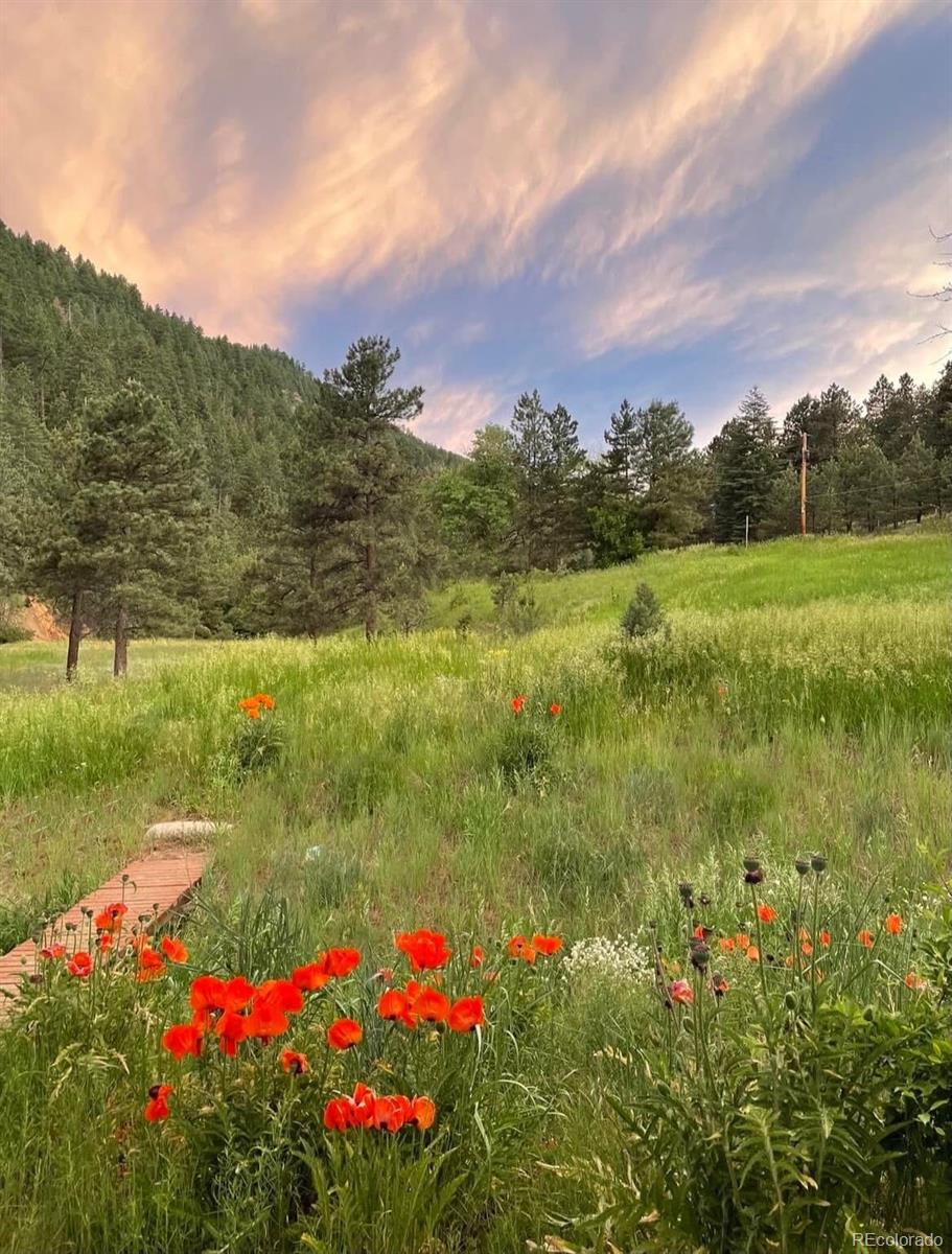 MLS Image #20 for 1037  wagonwheel gap road,boulder, Colorado