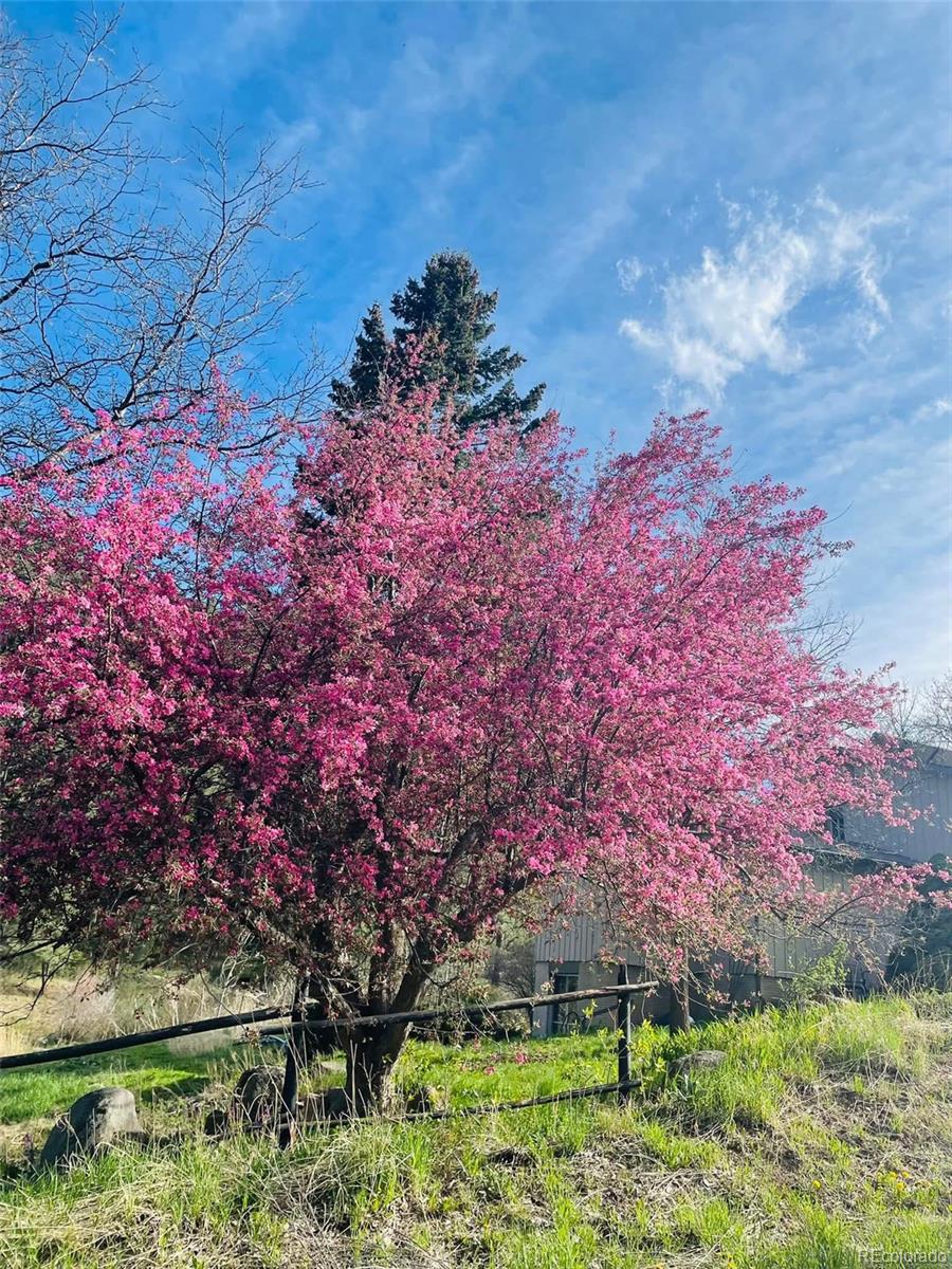 MLS Image #22 for 1037  wagonwheel gap road,boulder, Colorado