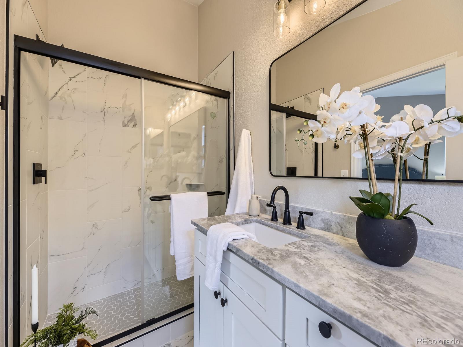 MLS Image #16 for 4287  brookwood place,highlands ranch, Colorado