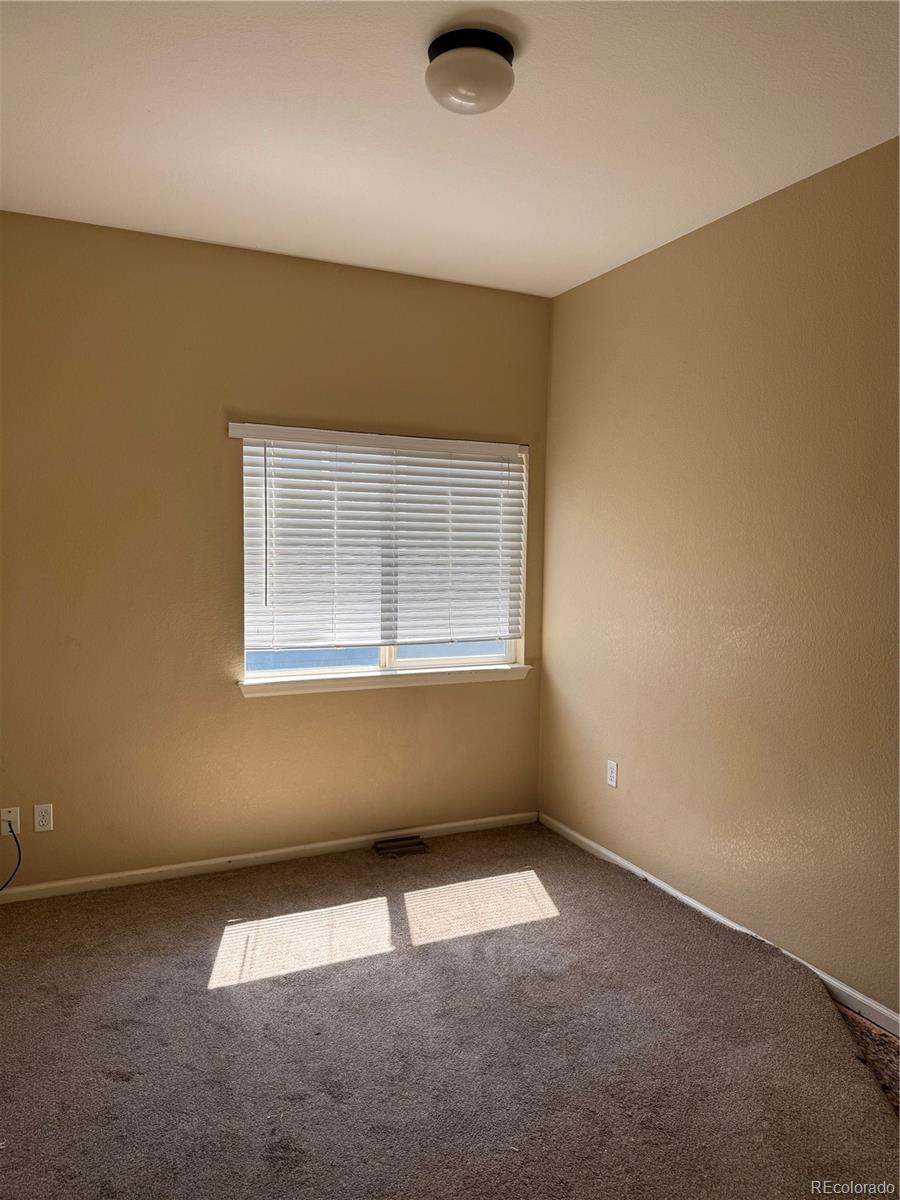 MLS Image #12 for 20304 e 47th place,denver, Colorado