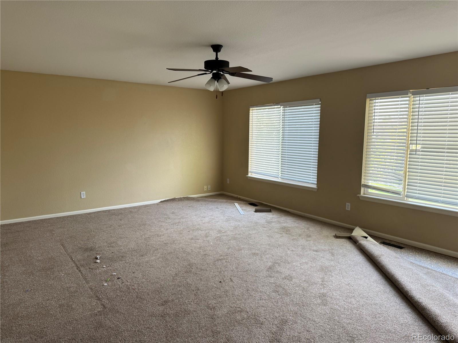 MLS Image #14 for 20304 e 47th place,denver, Colorado