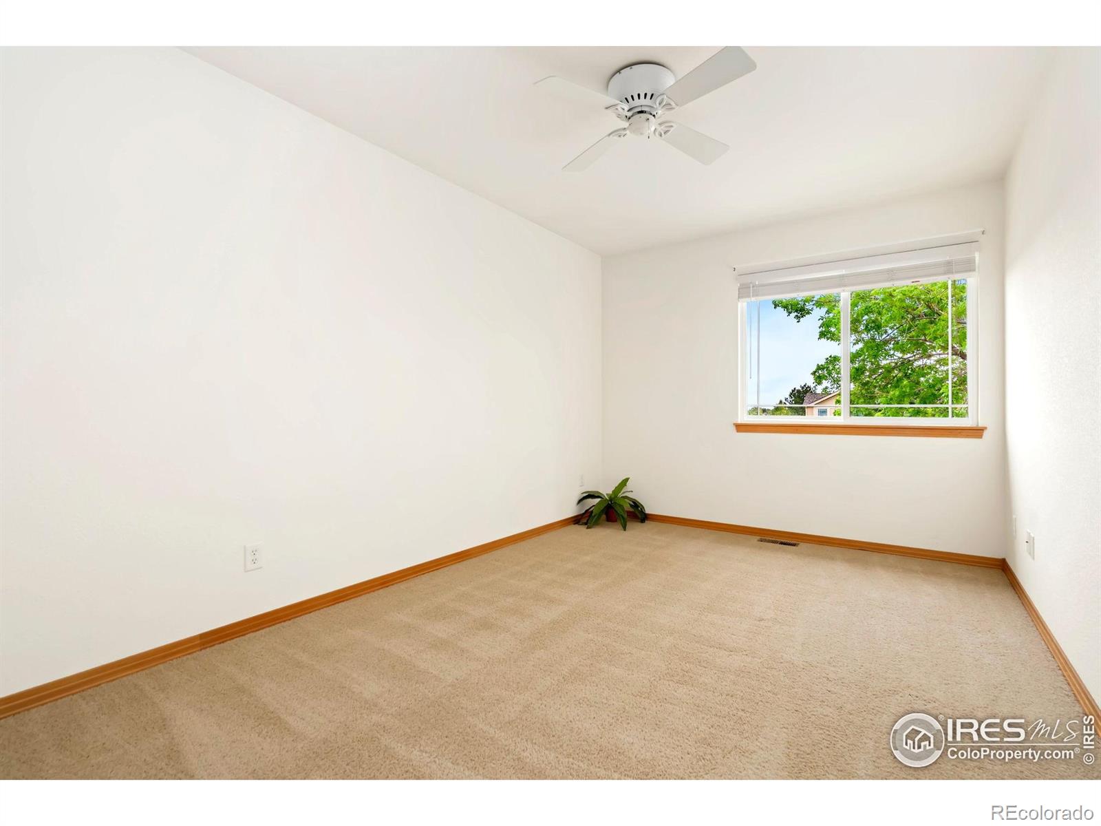 MLS Image #29 for 4603  dusty sage court,fort collins, Colorado